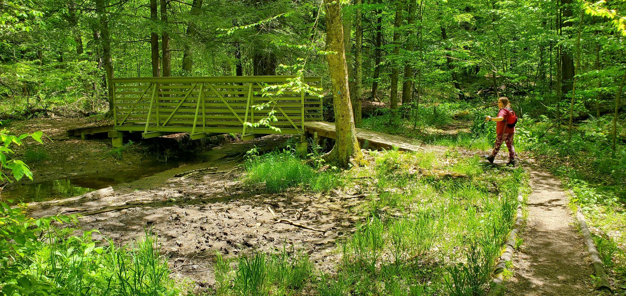 A person walks on a path next to a wooden bridge over a stream. - Quaker Lake – Murray Brook bridge loop from Bradford