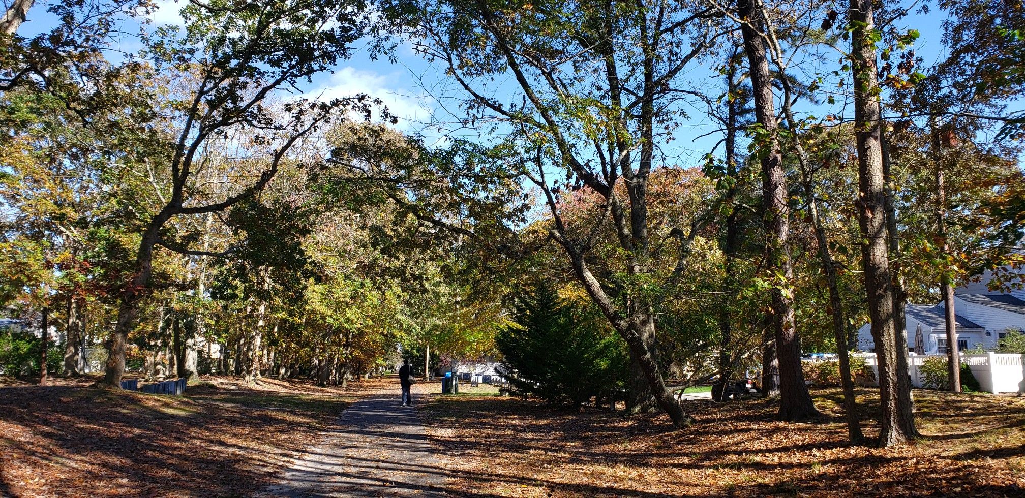 Sunny dirt path through a wooded area with a person walking. - Pleasantville to Ocean City