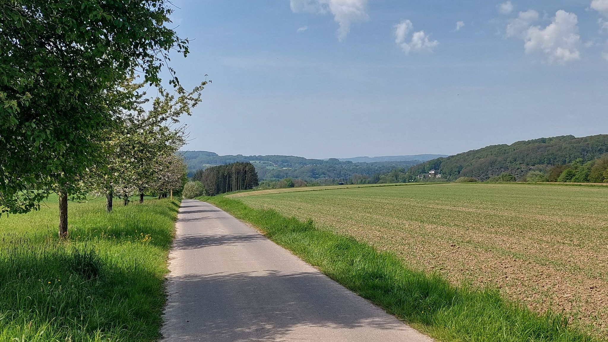 Panorama bei Pracht