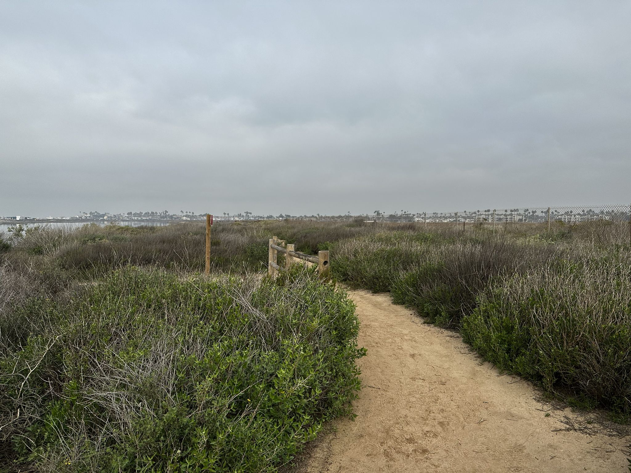 A dirt path winding through dense green and brown bushes under an overcast sky. - Wintersburg Channel Loop Trail