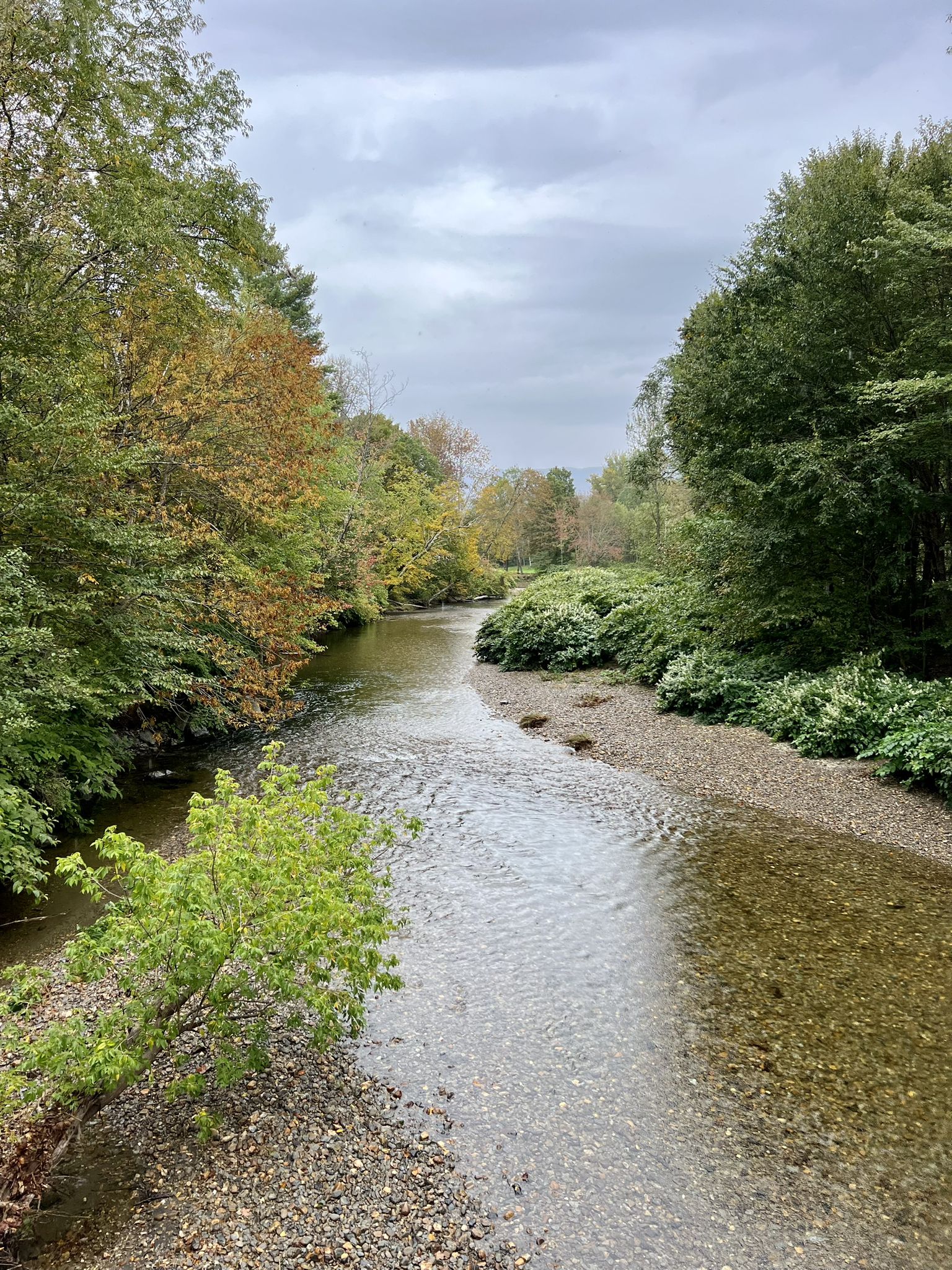Clear river flows through a forest with autumn-colored trees under an overcast sky. - Running loop from Cady Hill Forest
