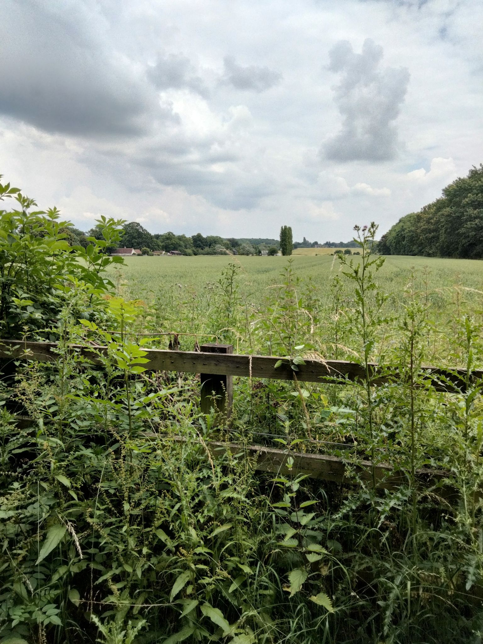 Lovely view