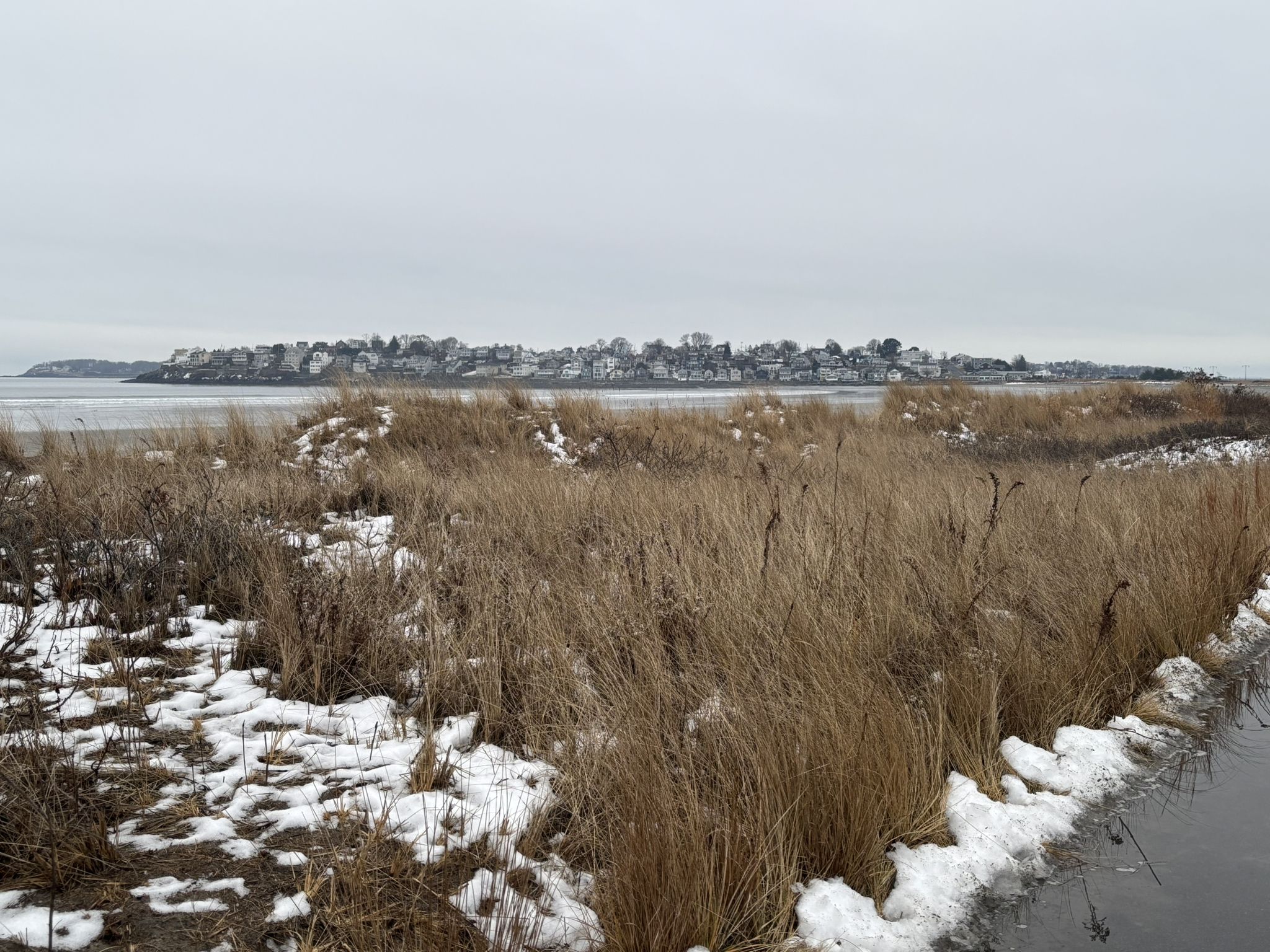 Winter marshland with brown grasses, snow patches, and distant town under gray sky. - Forty Steps Beach – Lynn Beach loop from Clifton