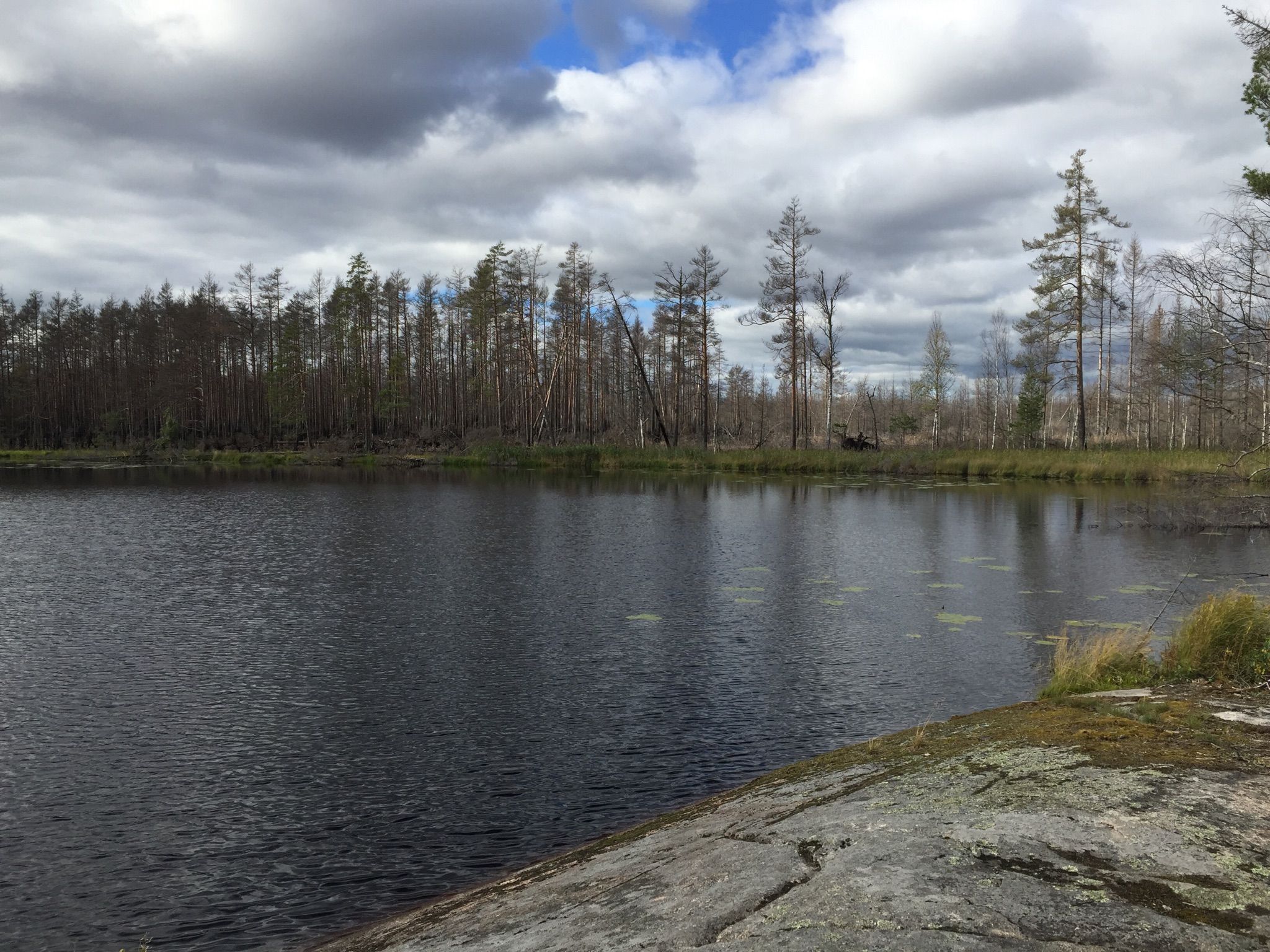 Very small lake Acktjärnen