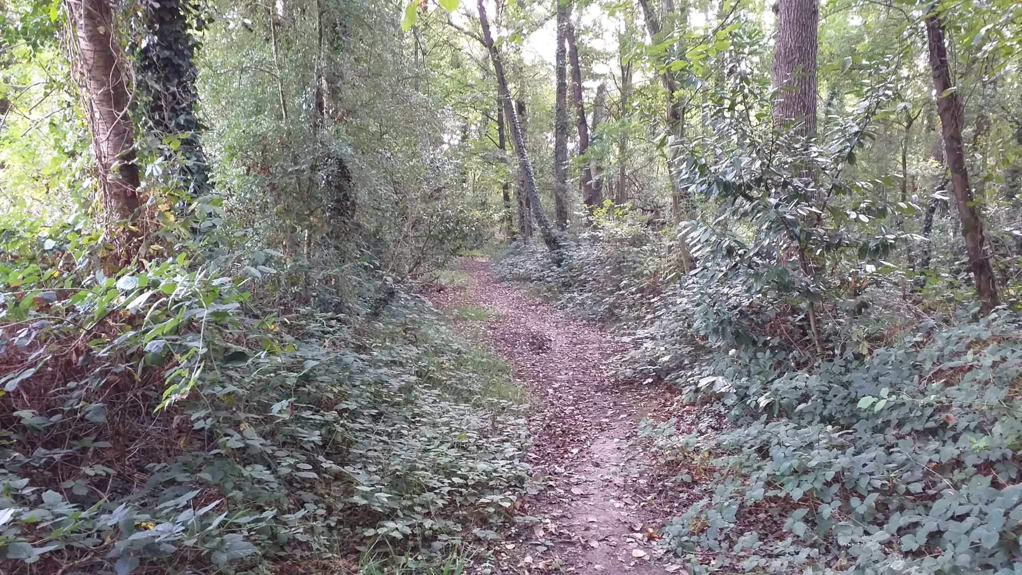 Tour de l'Etang neuf