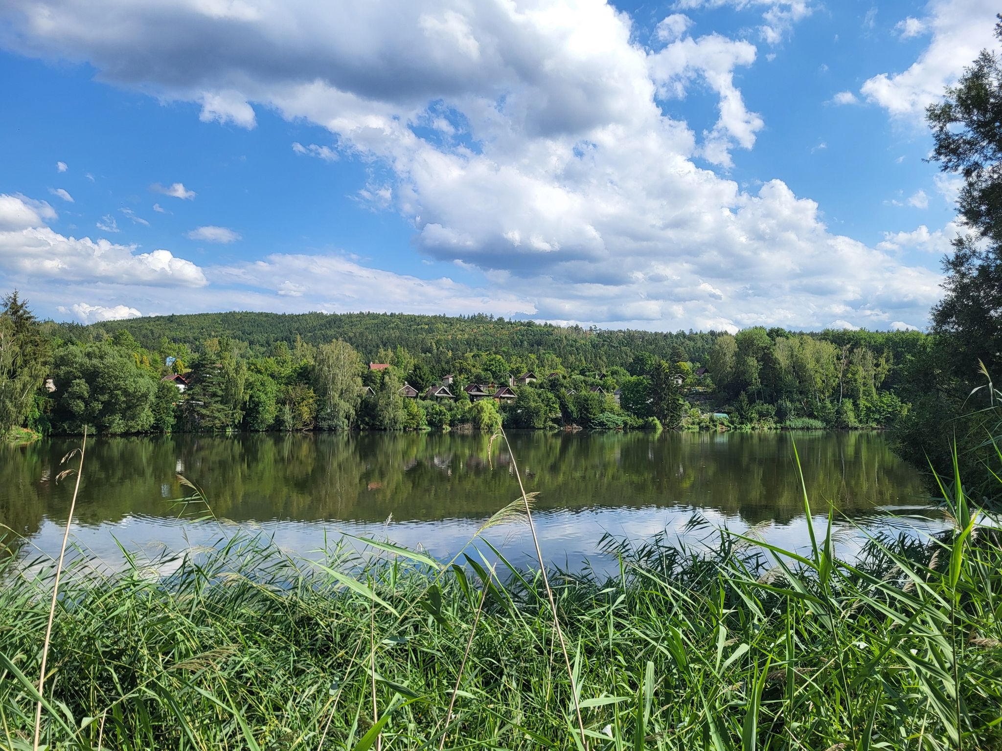 Lužná-Žákův rybník