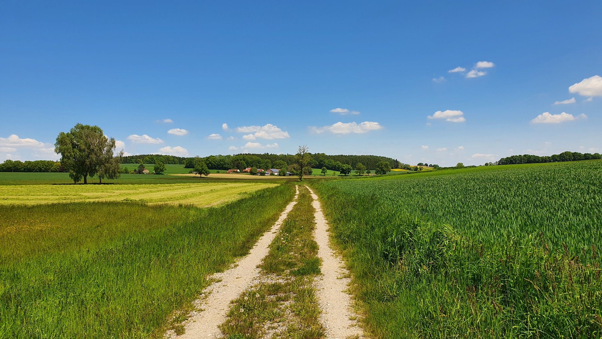 Richtung Reipertshofen und Ampermoching