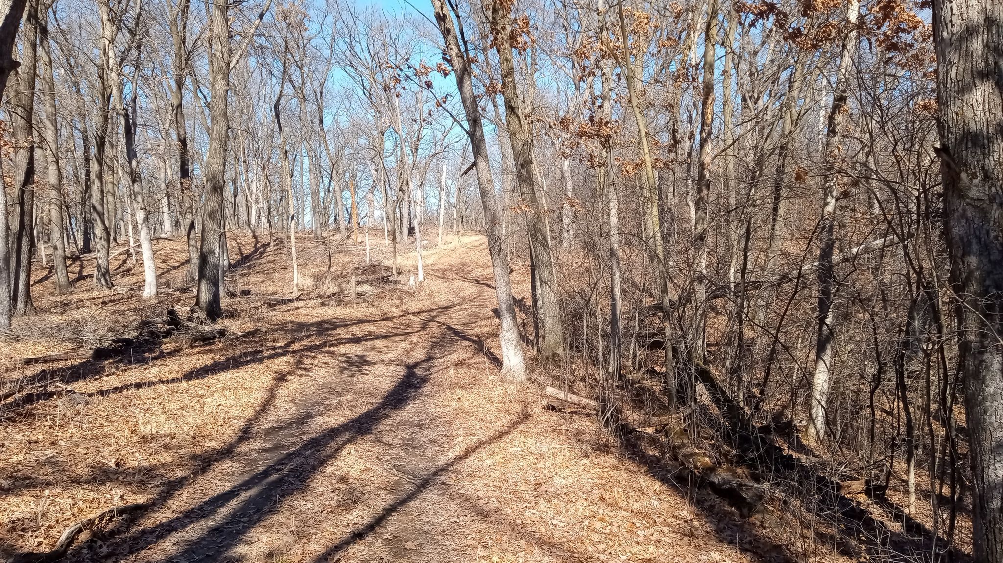 trail going uphill