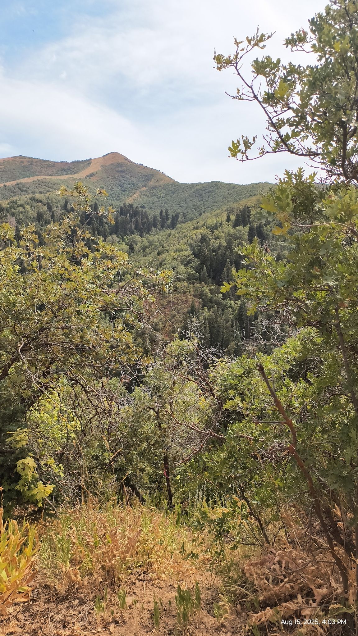 Lush green mountains and valleys under a partly cloudy sky. - Kenny Creek Trail