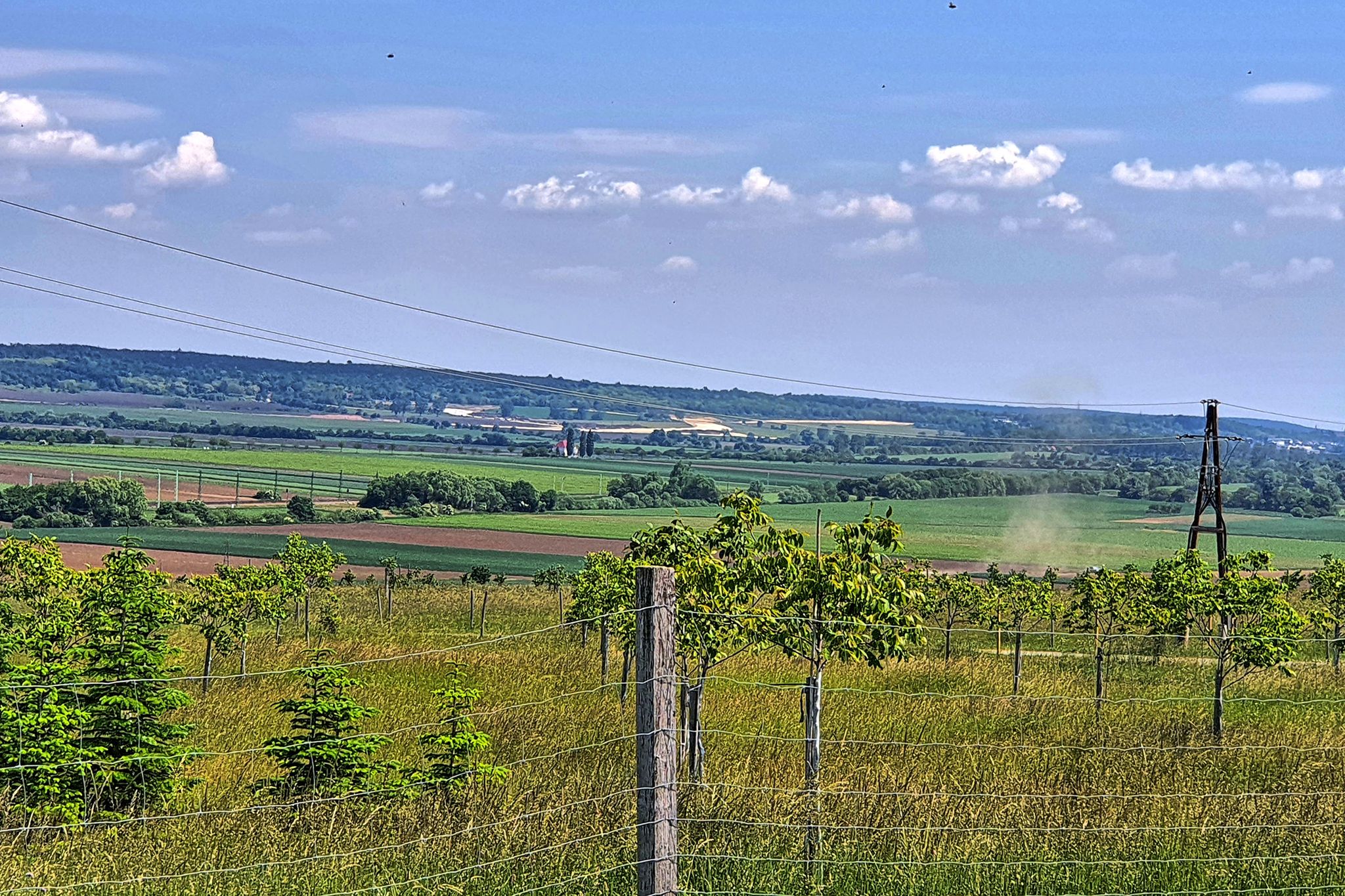 Ausblick vom Rastplatz gegen Osten