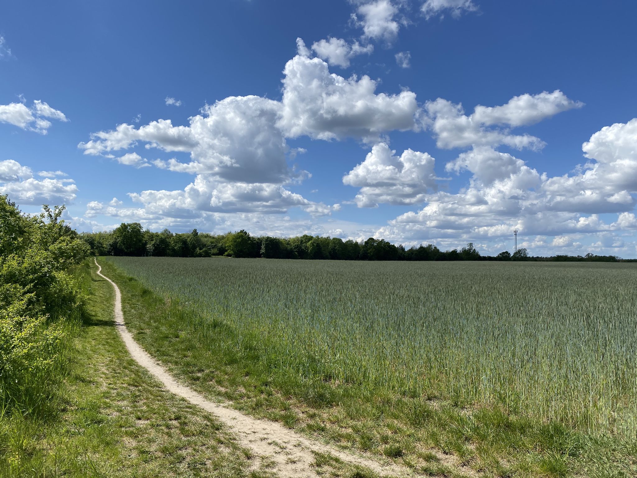 Weg zum Funkerberg