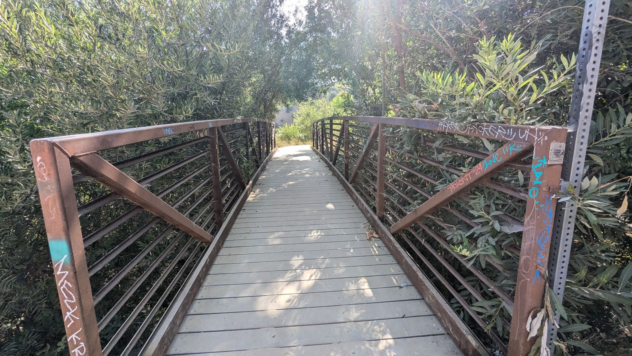 Wooden bridge with metal railings, surrounded by green trees in bright sunlight. - Aliso Canyon Trail