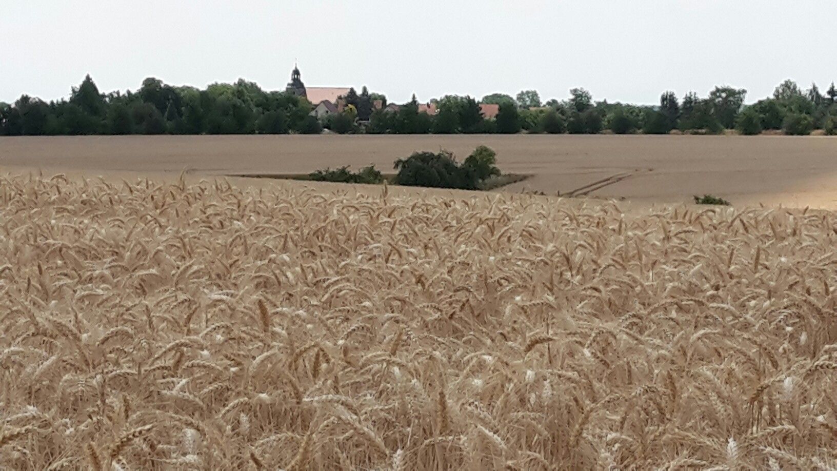 Urbach