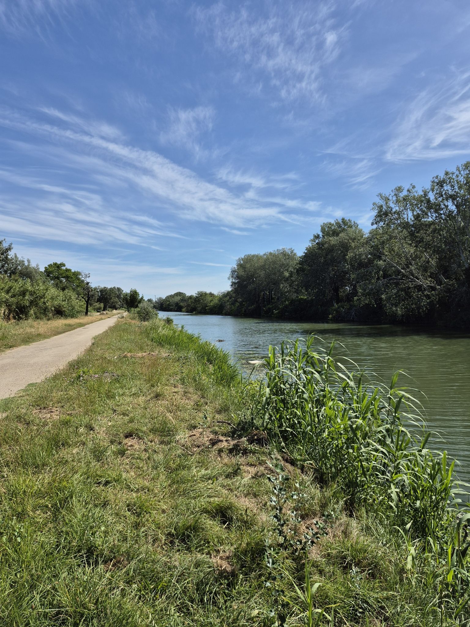 Kanalblick Richtung Arles