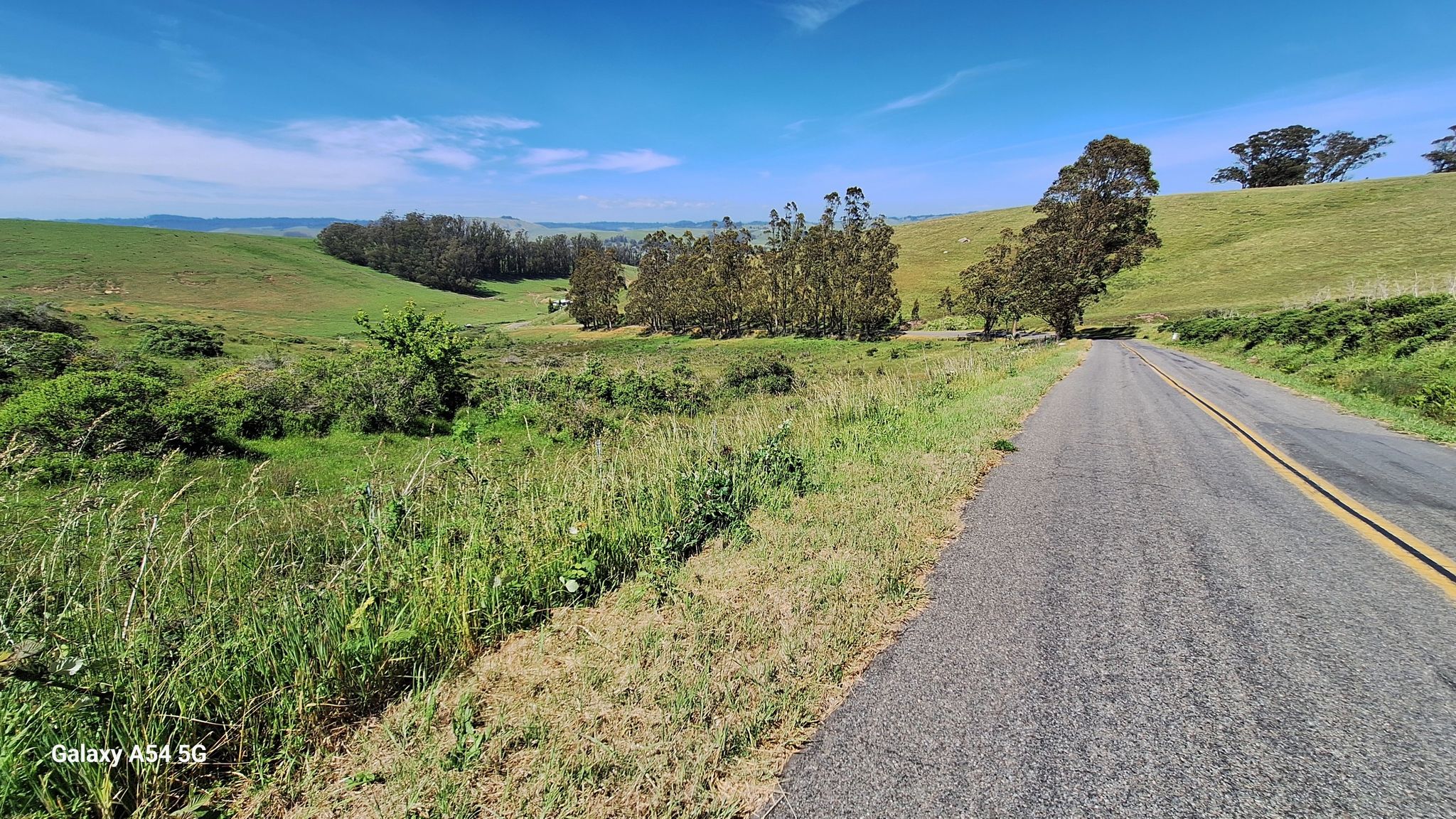 A paved road winds through green rolling hills under a bright blue sky. - Estero de San Antonio – Tomales loop from Tomales