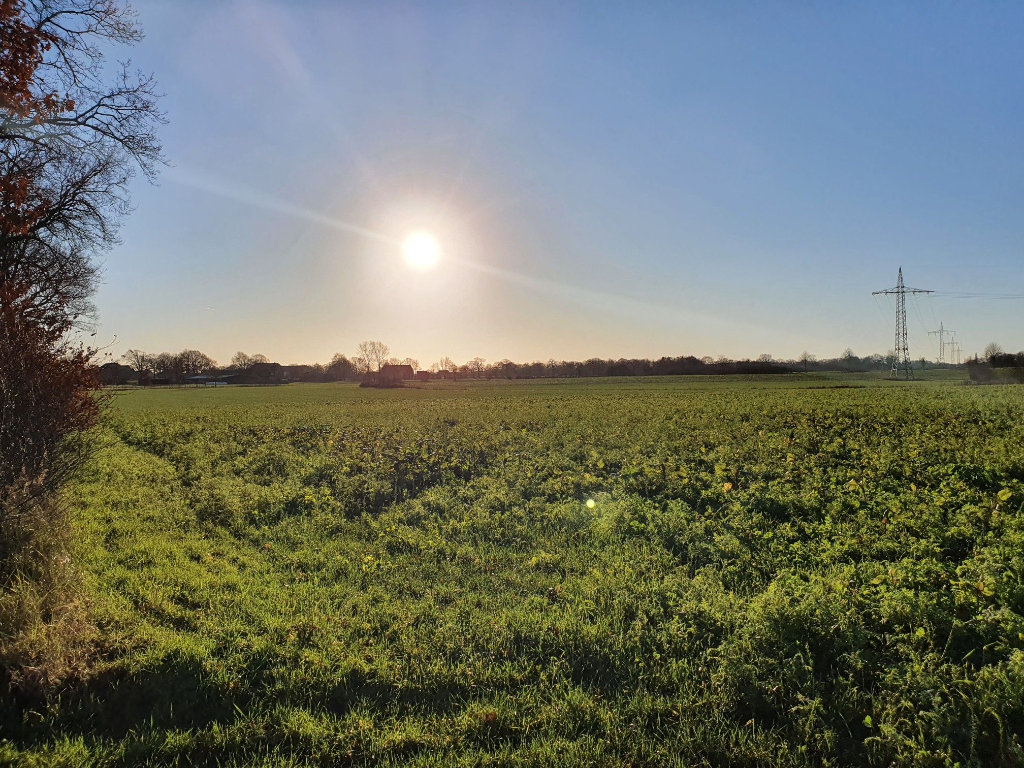 Sonne👍👍👍