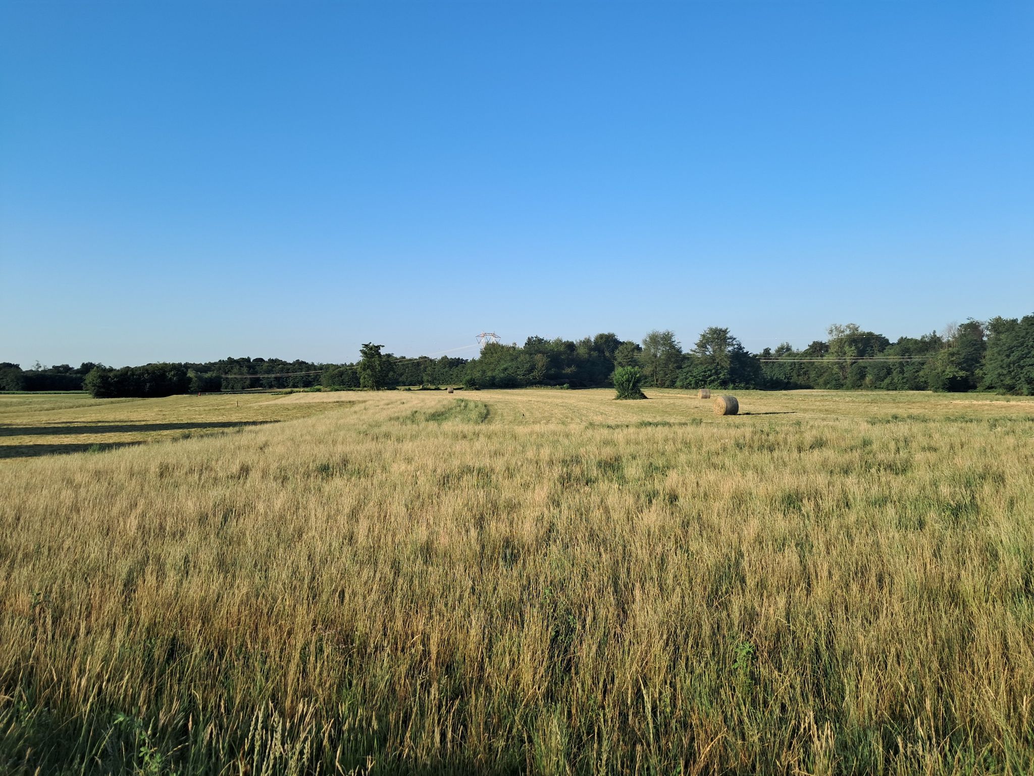 in vista del Parco pineta , la pace !