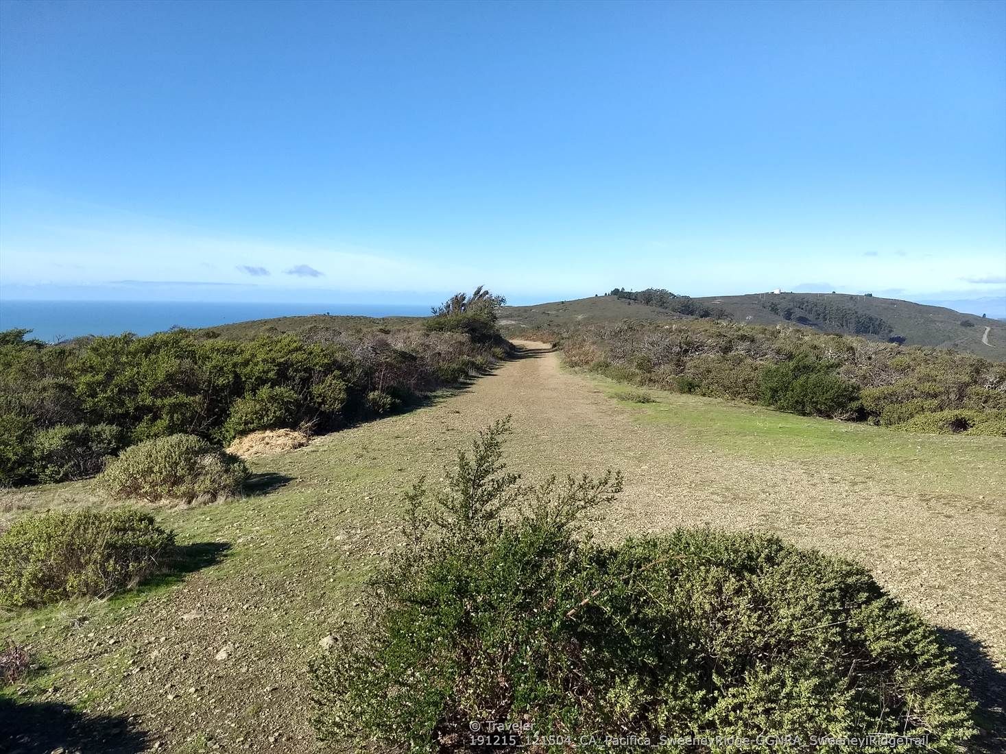 A dirt path winds through sunny, green hills towards the distant ocean. - Bay Area Ridge Trail: San Francisco Peninsula Watershed