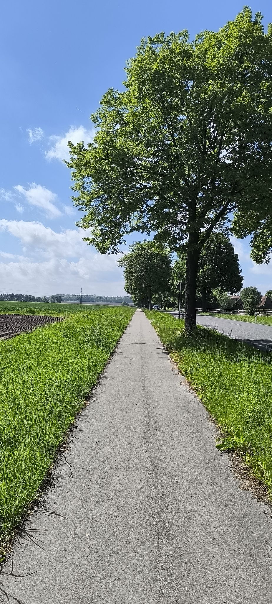Von Beckdorf nach Sauensieck