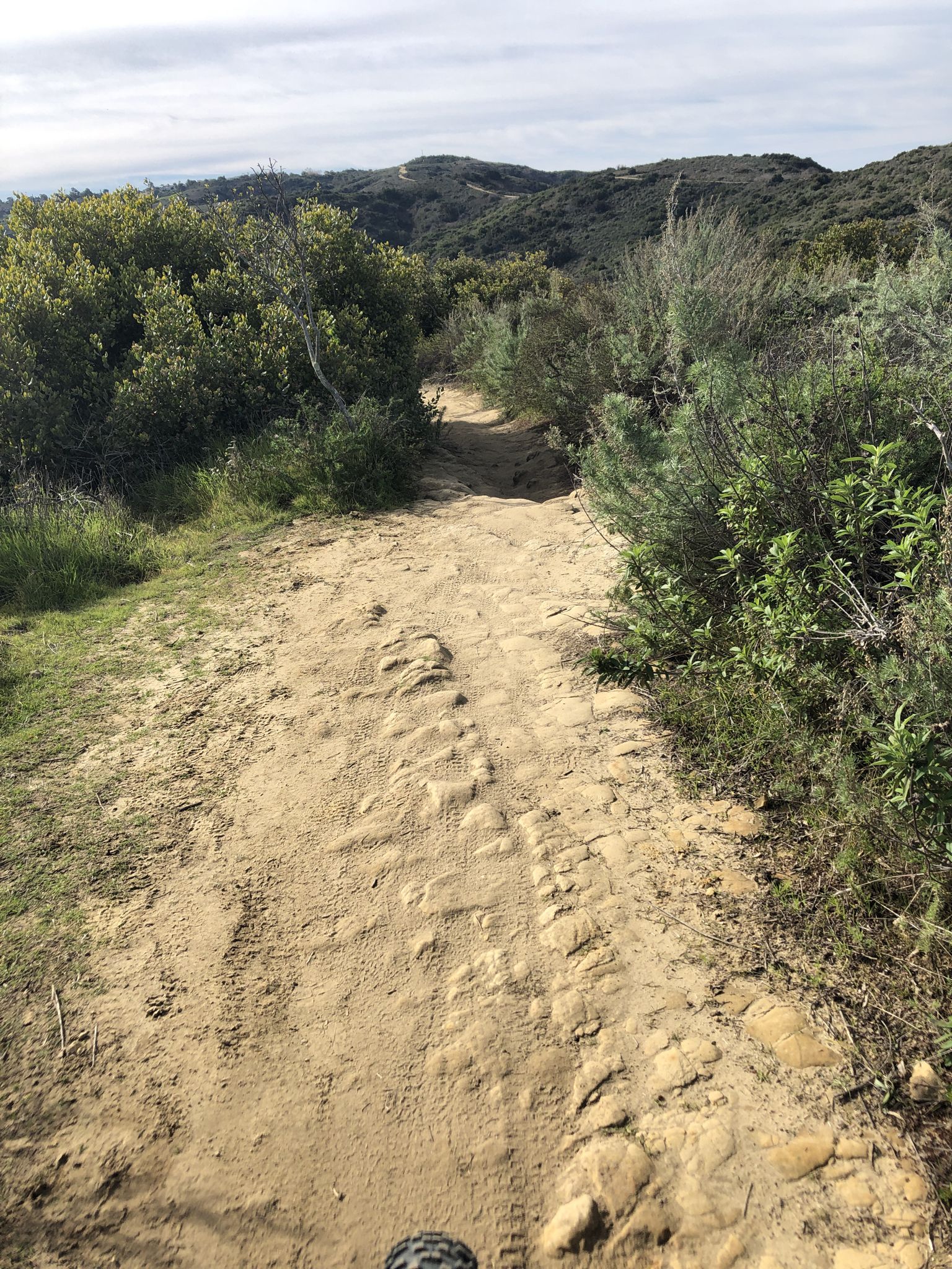 A narrow dirt trail winds through dense green and dry brush. - Rock-It and Wood Canyon Loop