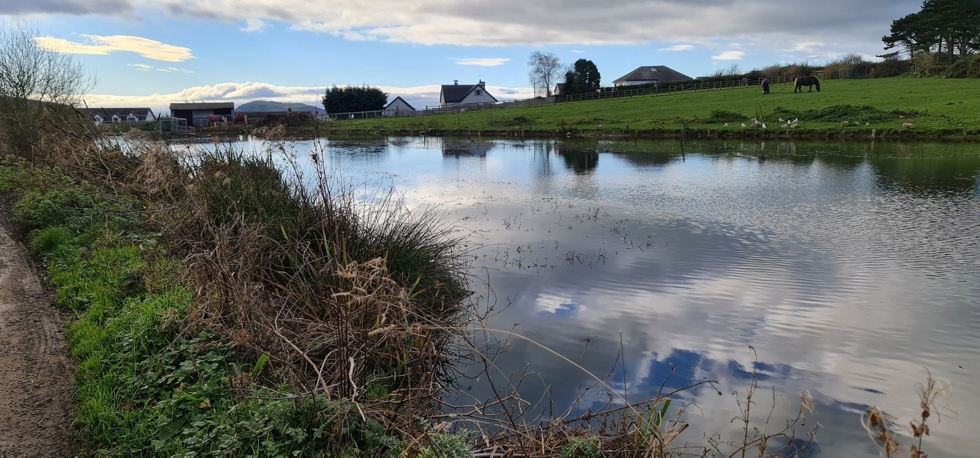 pond