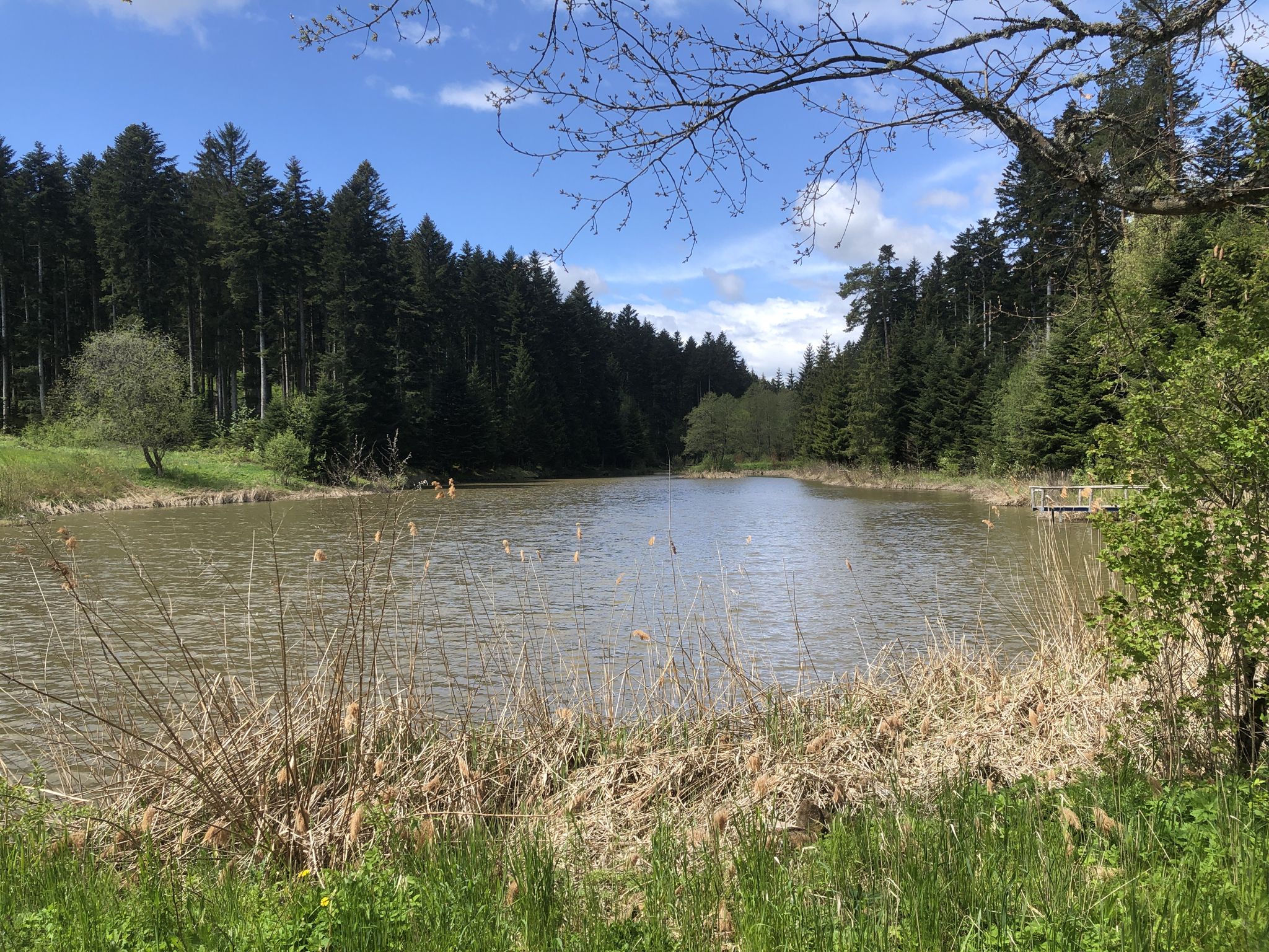 Oberer Staffelbachsee
