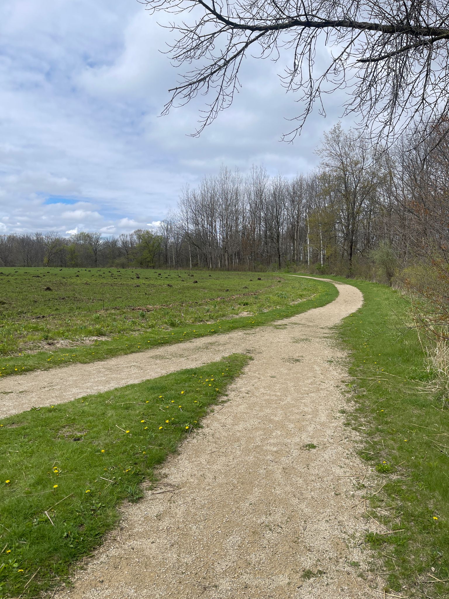A dirt path curves through a green field towards distant trees under a cloudy sky. - Prairie Trail and White Oak Nature Trail Loop