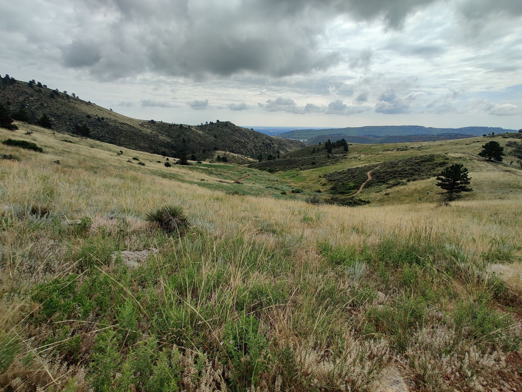 Grassy hills with a winding trail under a cloudy sky. - Mill Creek Trail to Horsetooth Rock Trail
