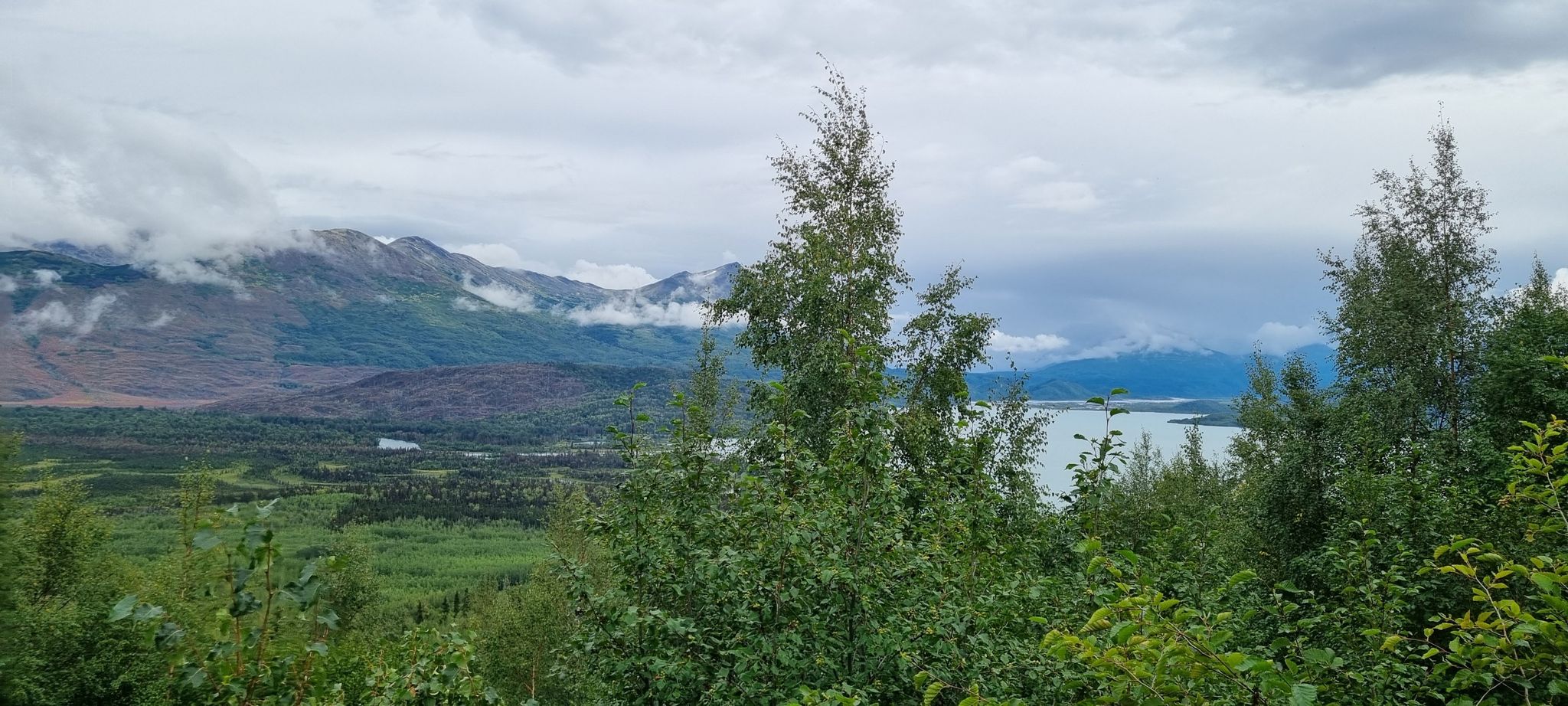 Overcast view of a lake, green trees, and cloud-covered mountains. - Skilak Lookout