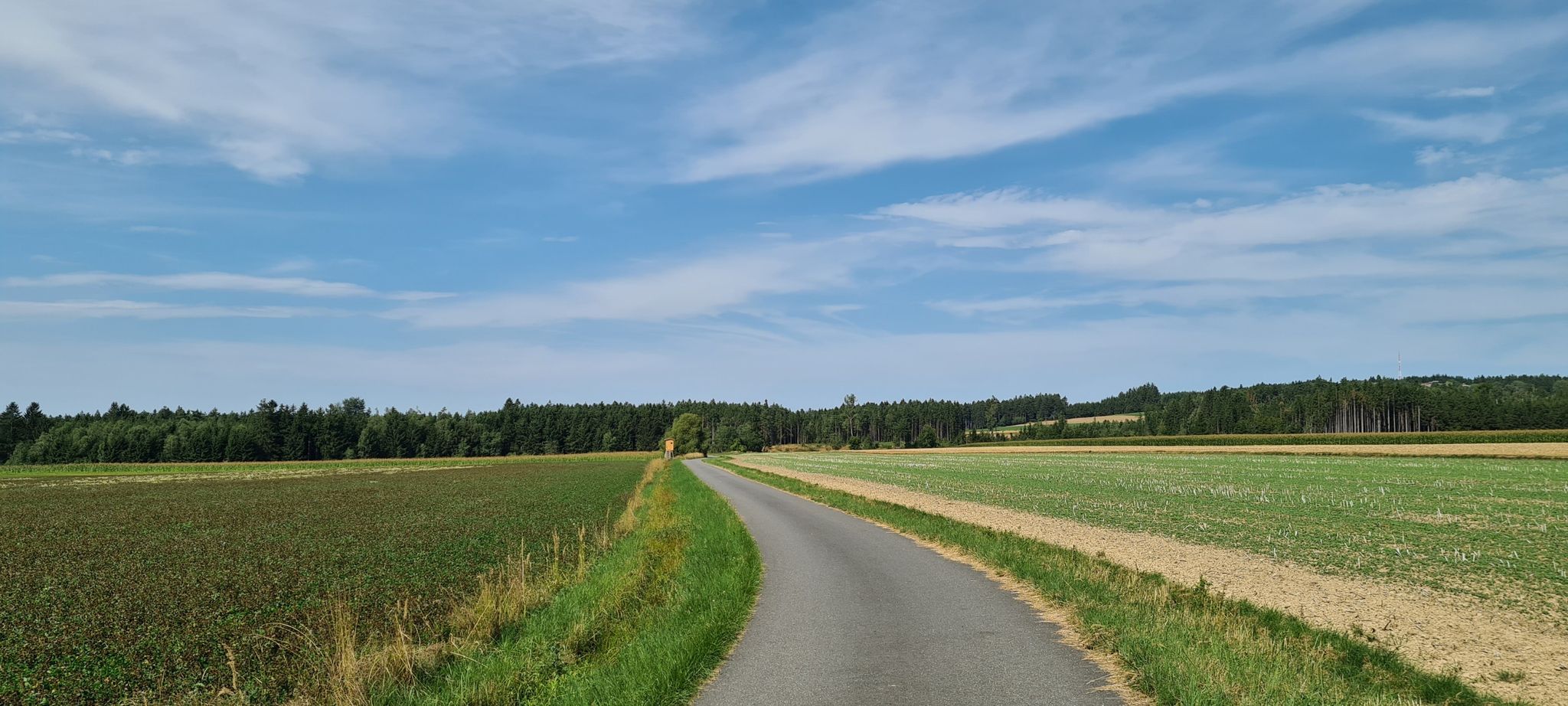 Knödellandrunde
