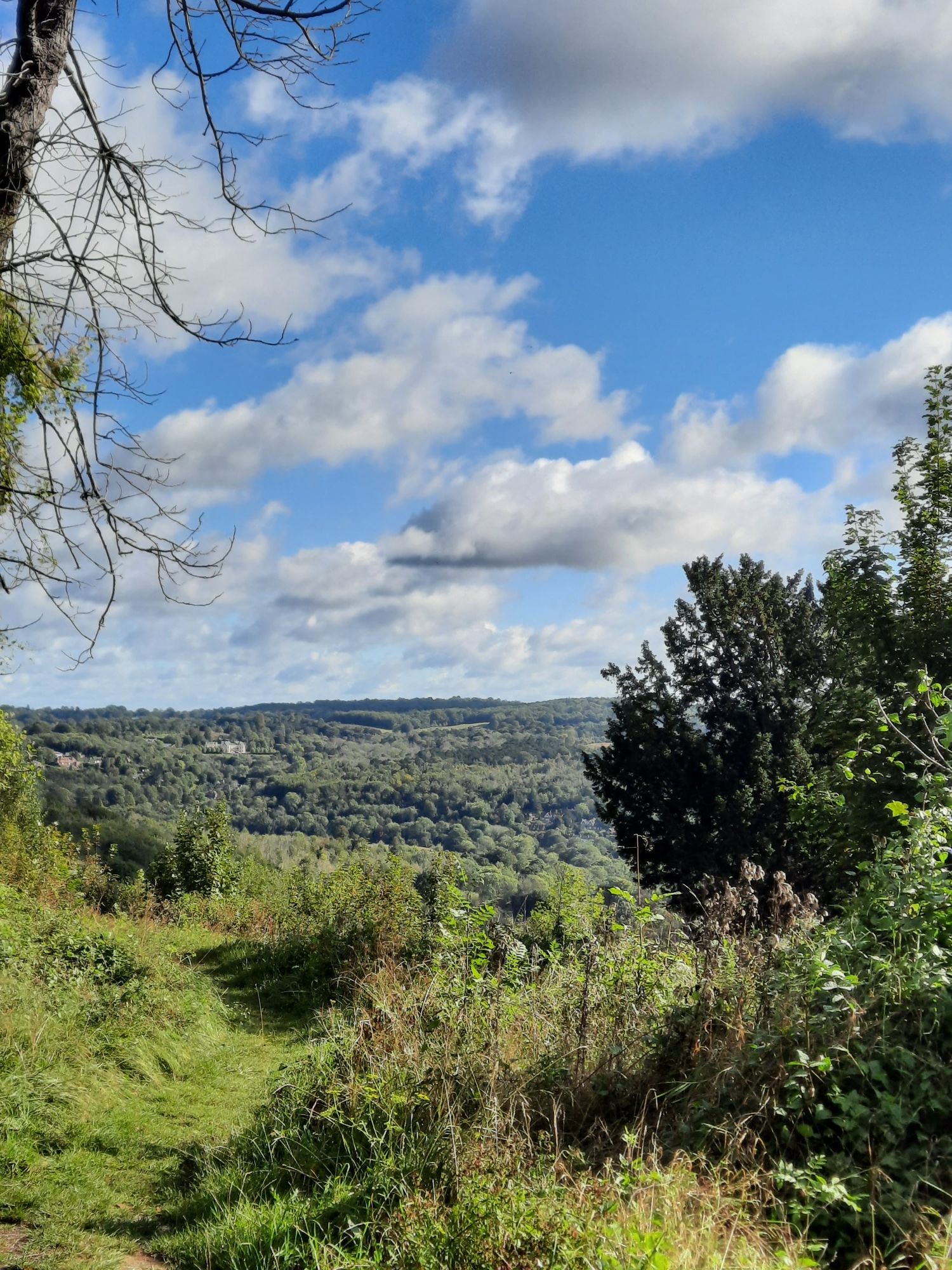 Nice morning walk 🥰