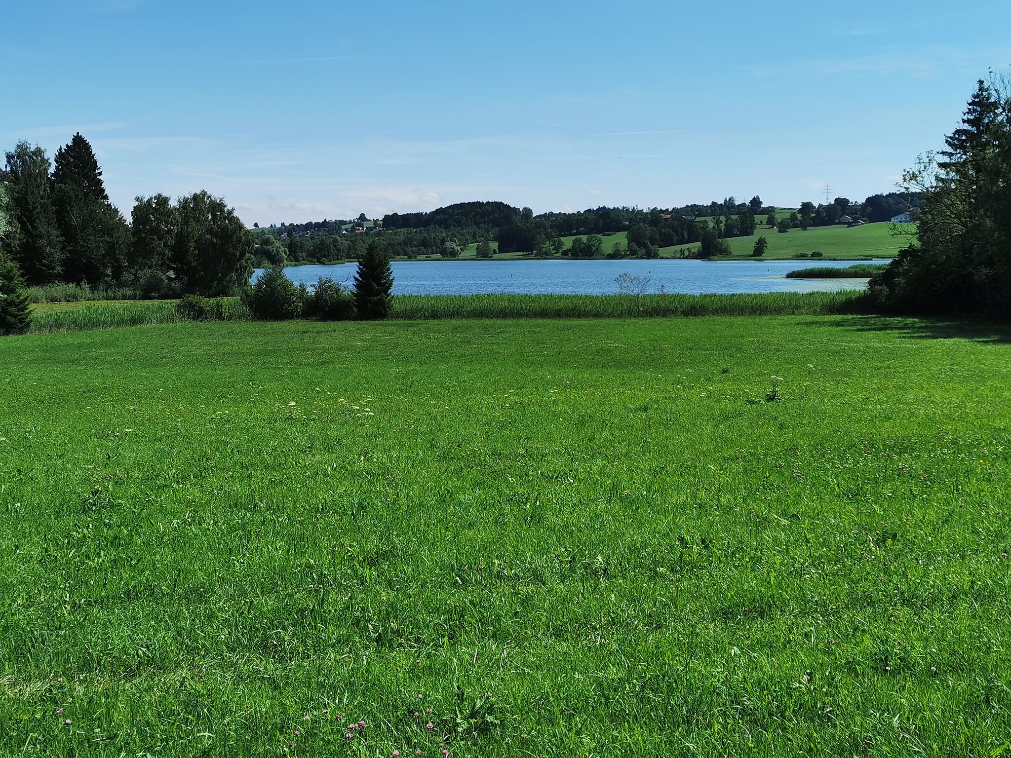 Der Sulzberger See