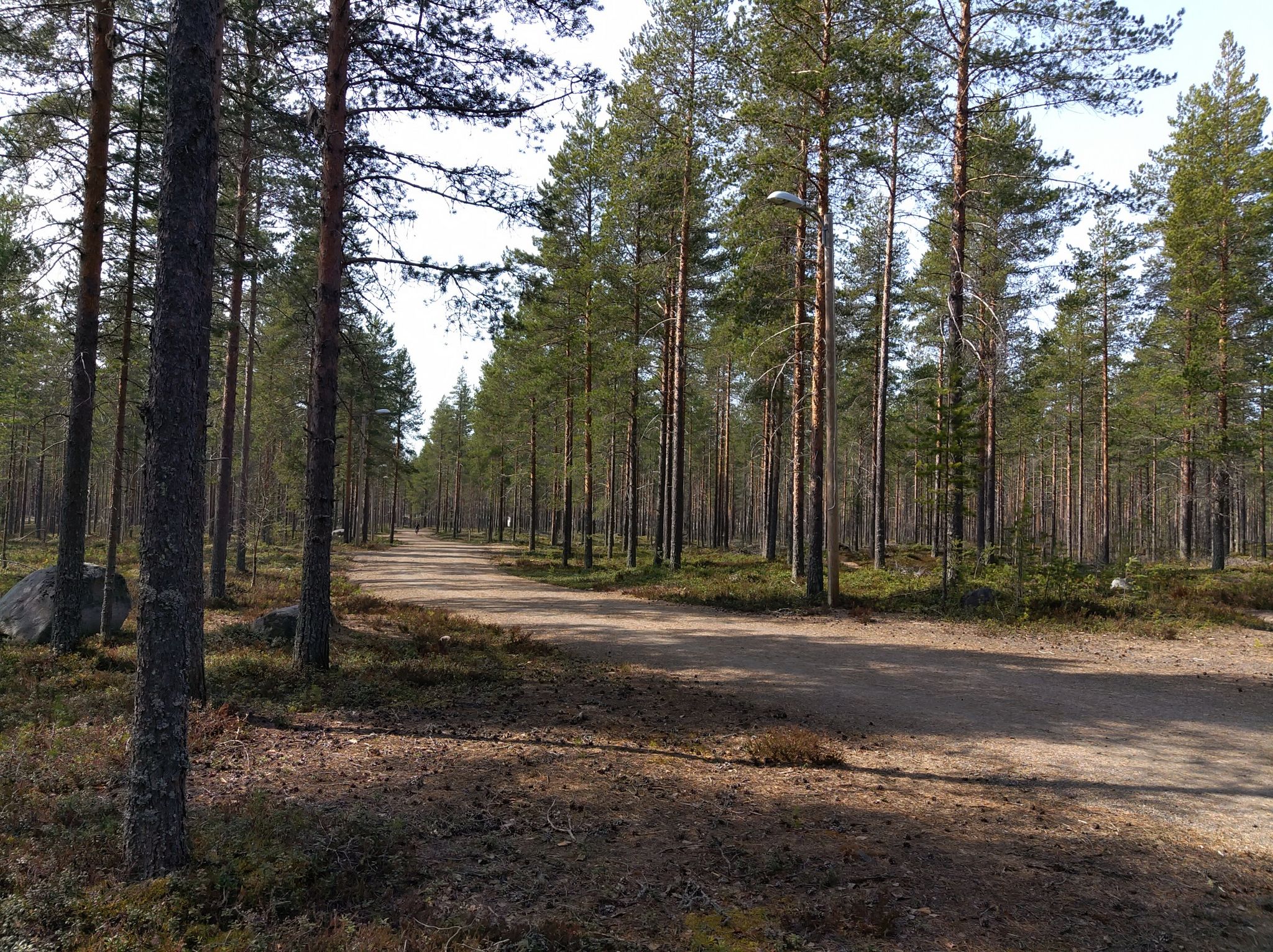 gravel
