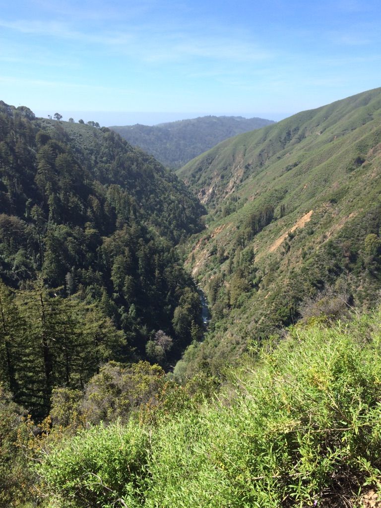 A deep, verdant mountain valley filled with trees under a bright blue sky. - Pine Ridge Trail to Ventana Camp