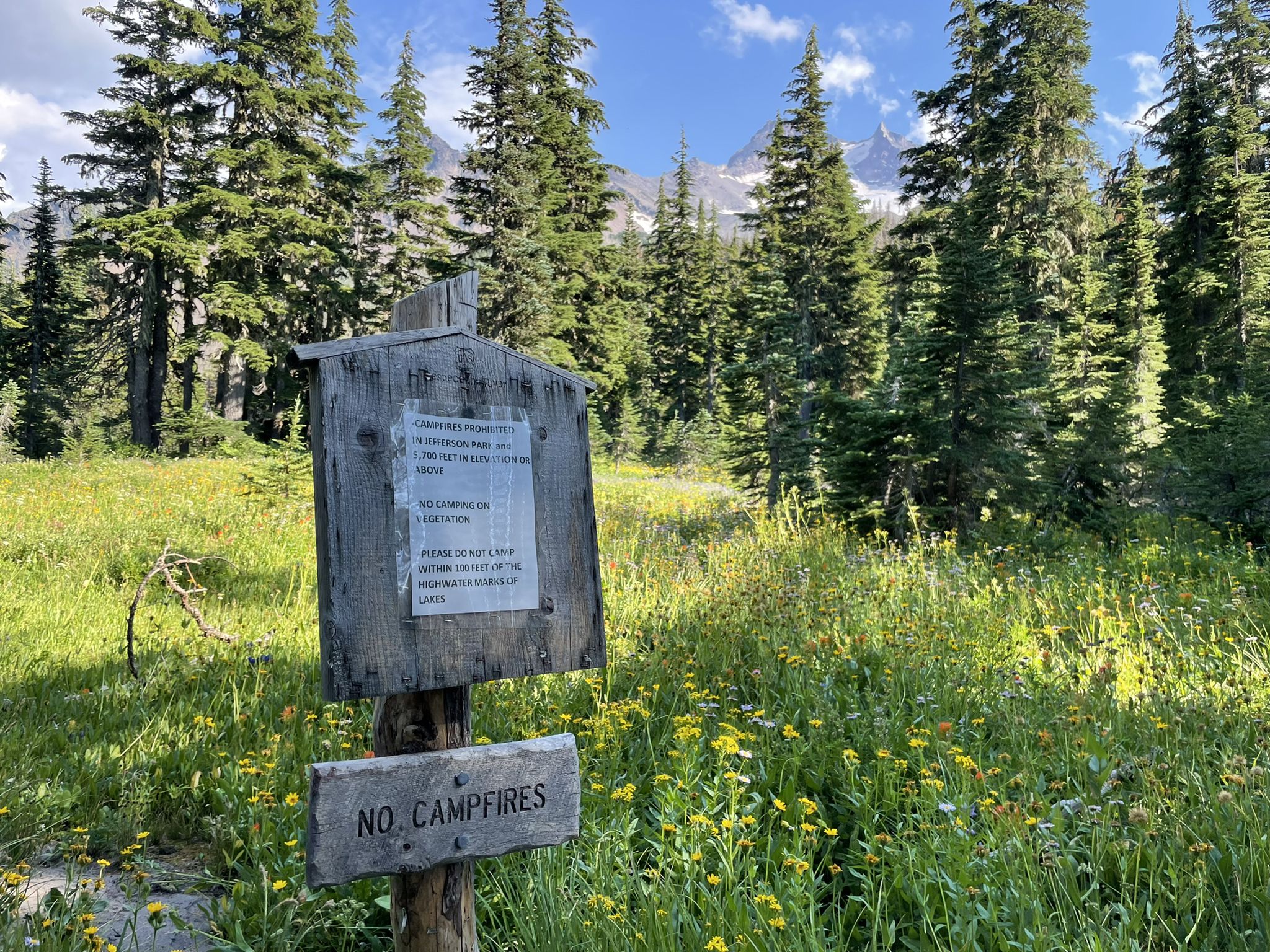 Wooden "NO CAMPFIRES" sign in a sunny meadow with wildflowers and pine trees. - Scout Lake via Whitewater Trail run