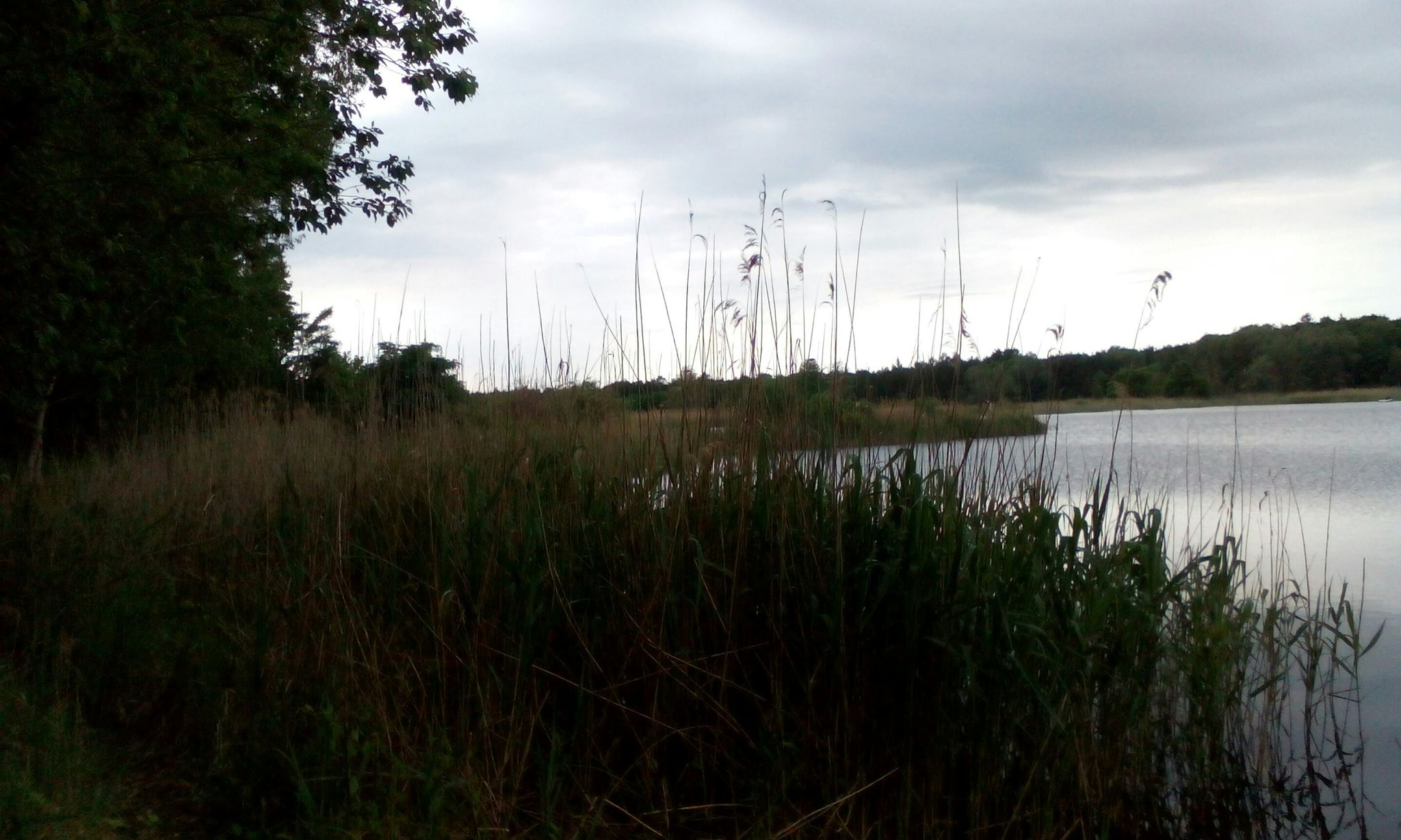 absolute Stille