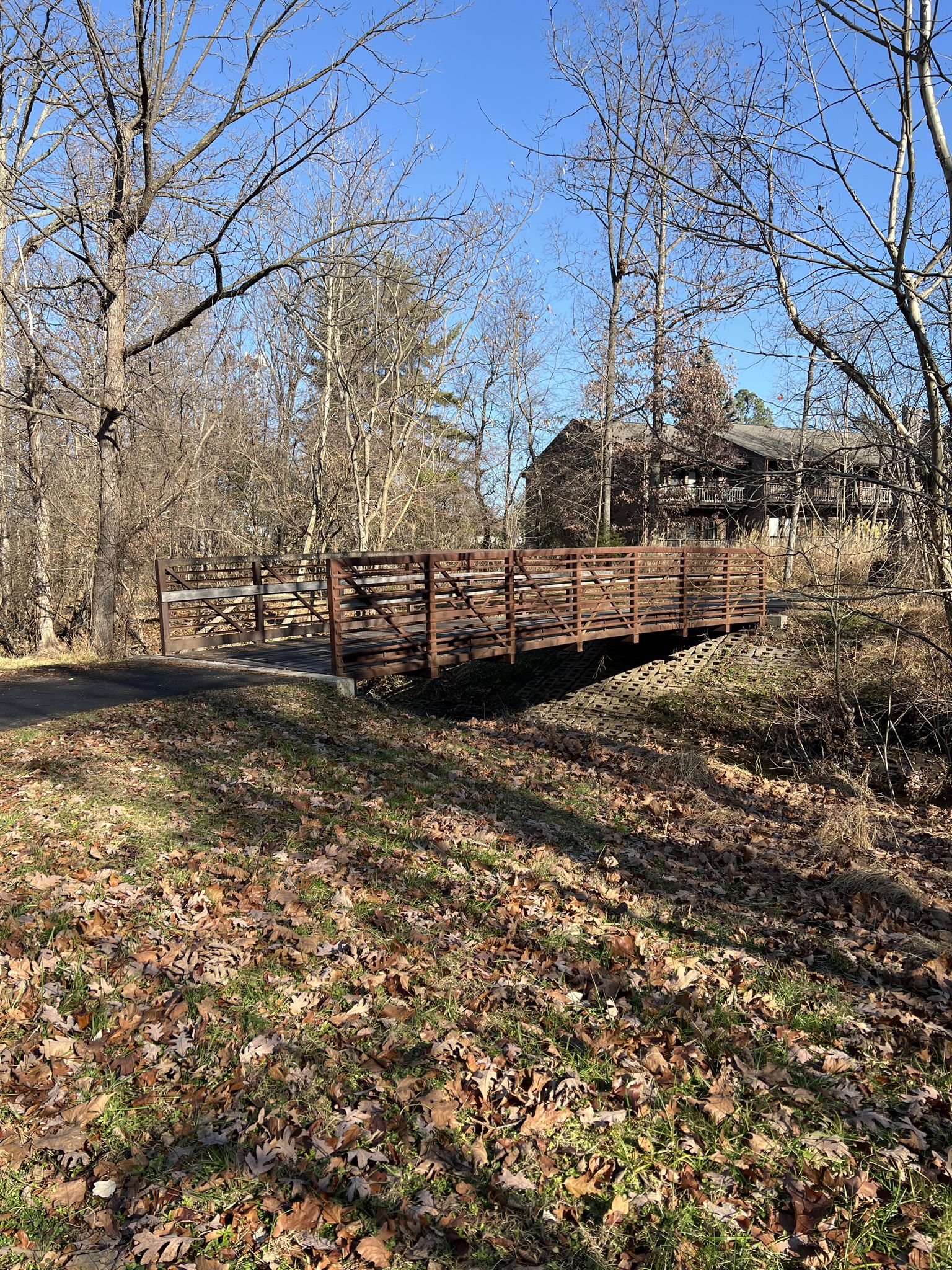 Brown metal bridge over a stream, surrounded by bare trees and dry leaves, sunny. - Herndon Caboose Park – Green Lizard Cycling, Herndon loop from Great Falls Crossing