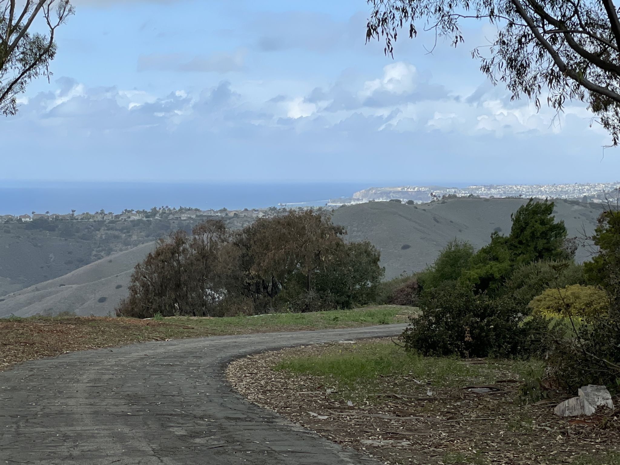Curved paved path overlooking distant ocean and city under cloudy sky. - Rancho San Clemente Ridgeline Trail