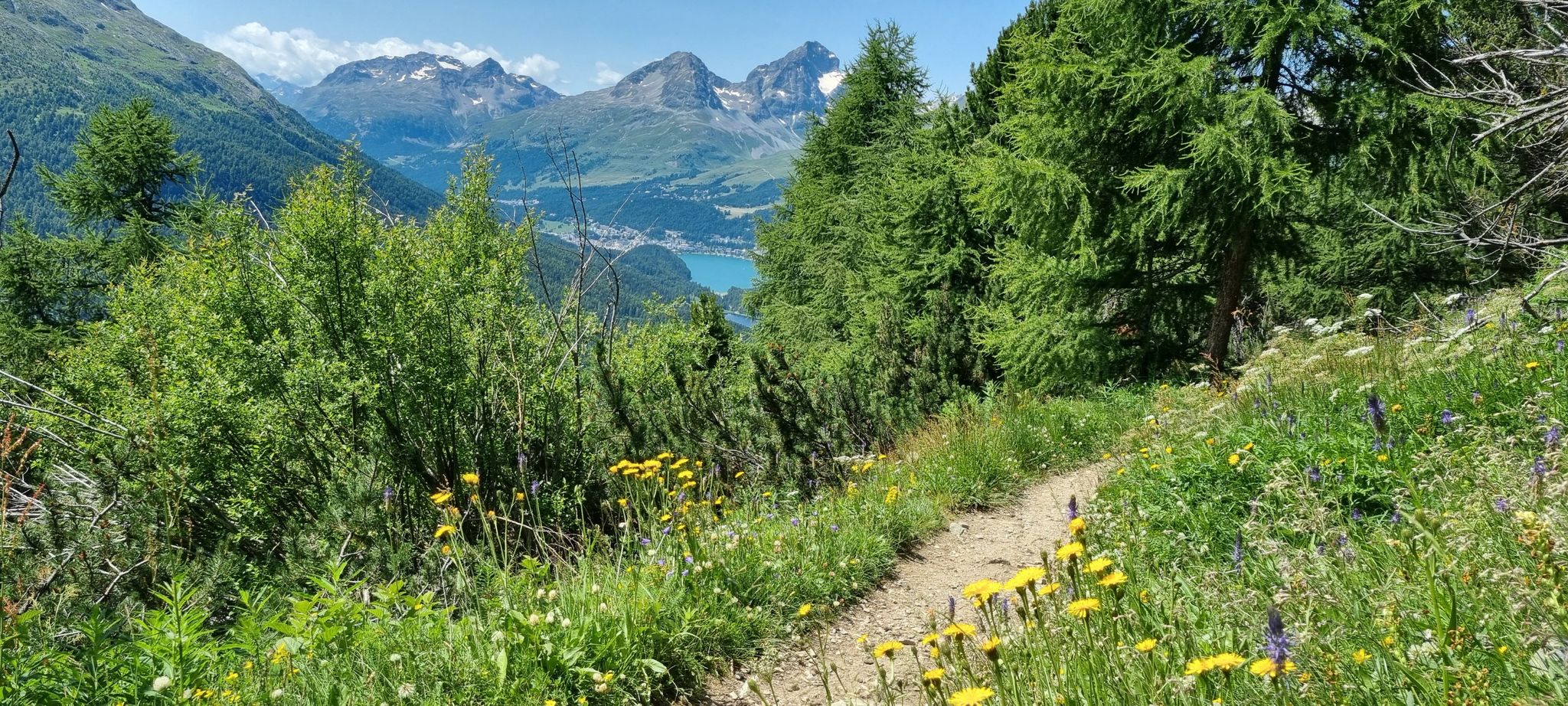 Wanderweg