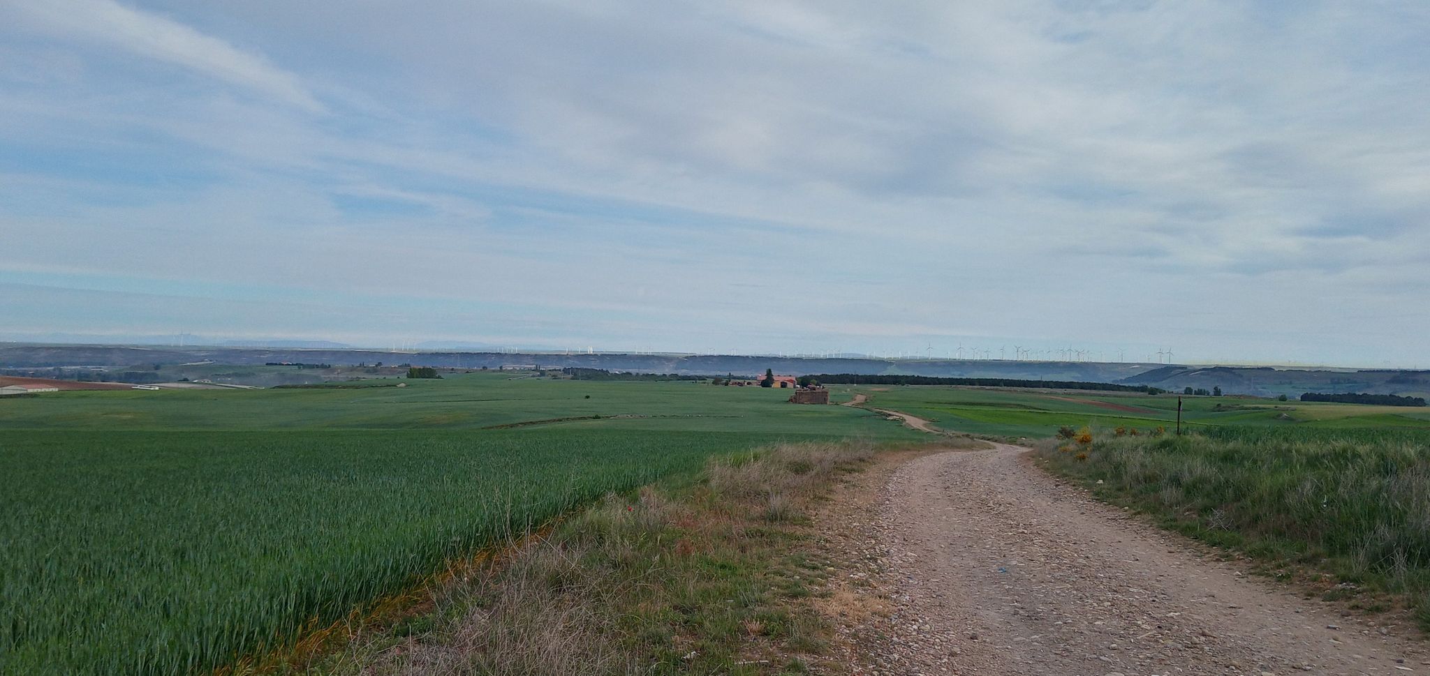 camino villagonzalo