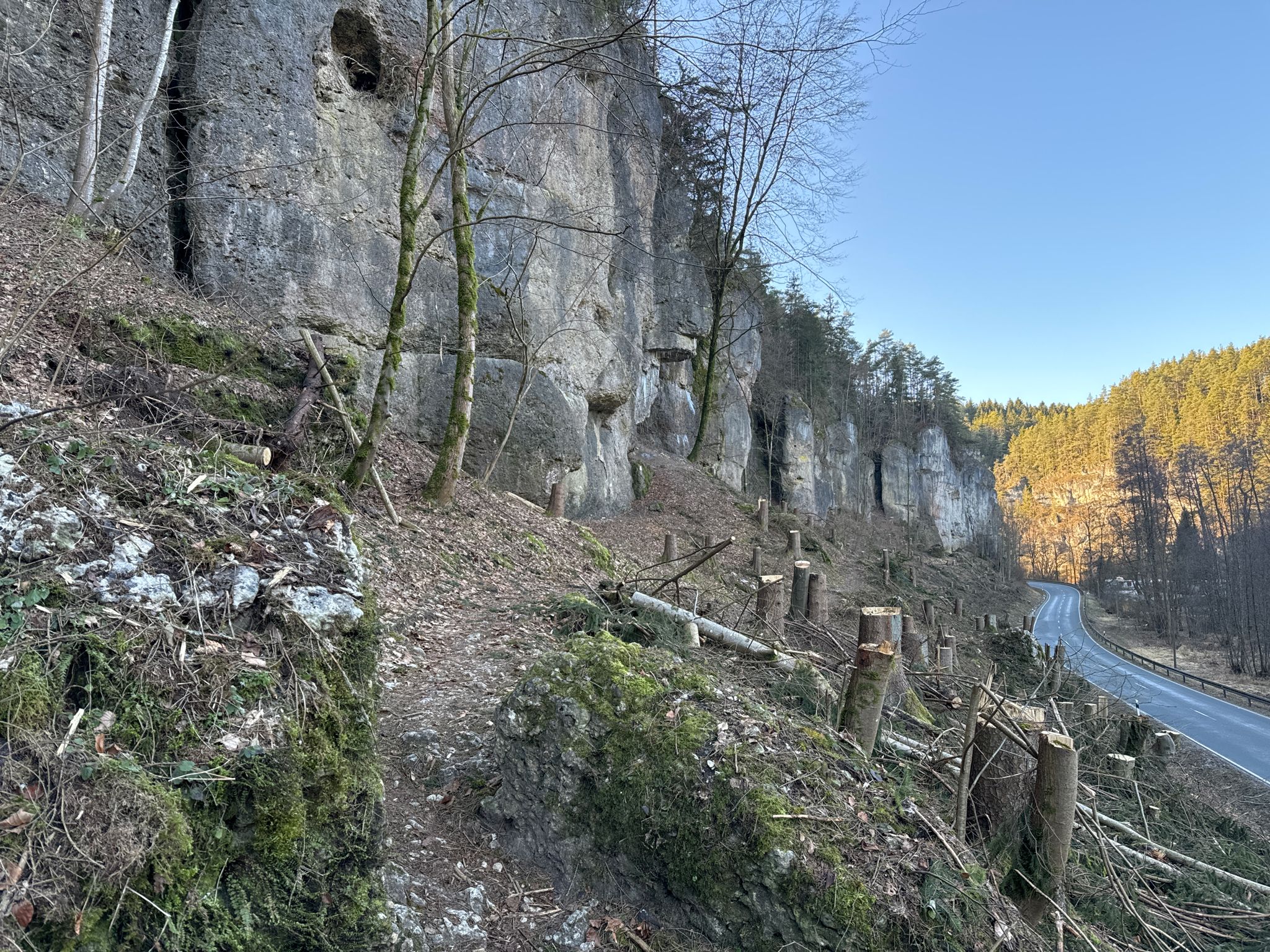 Wanderweg im Bärental