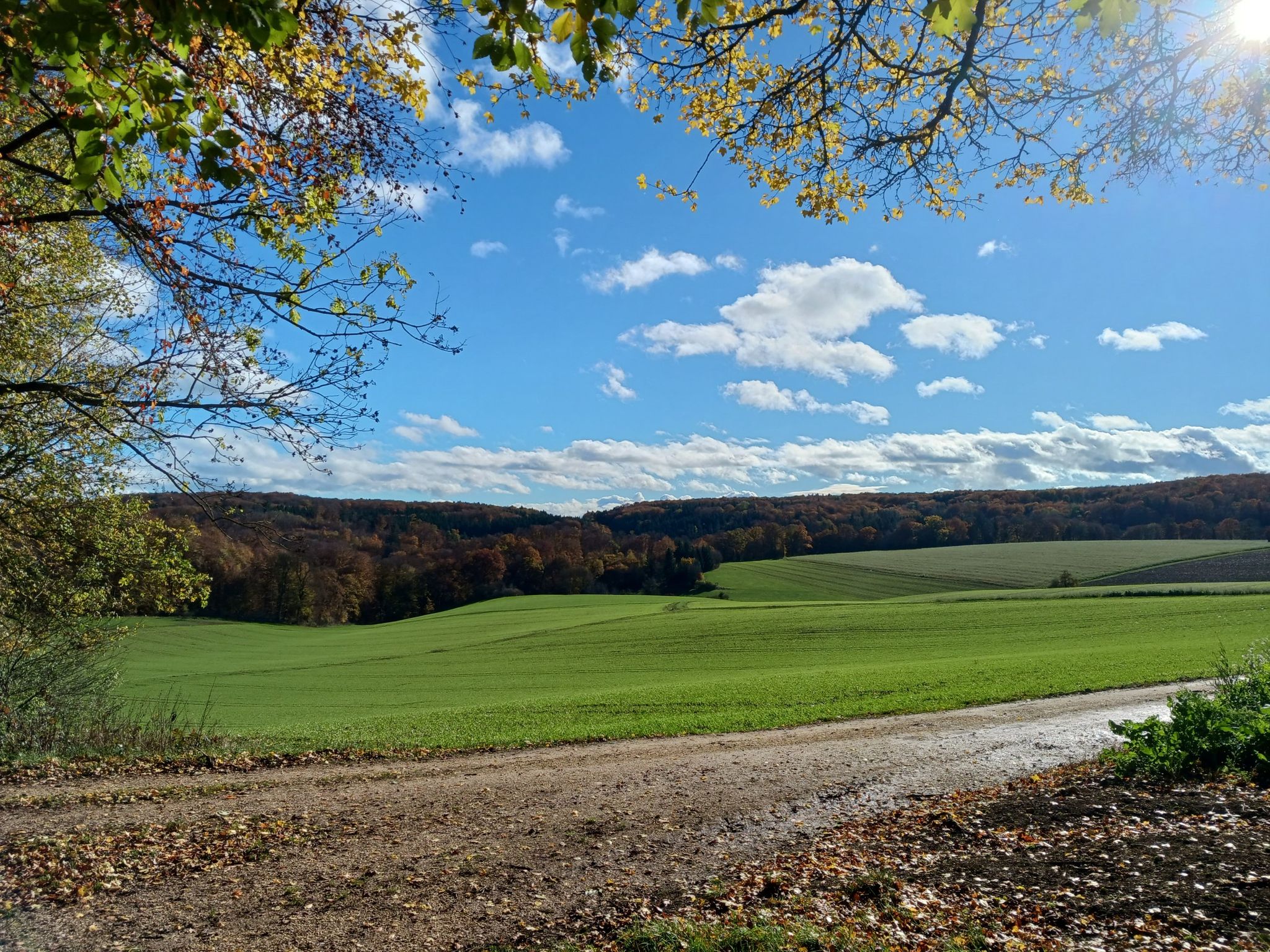Aussicht vom Bänkle