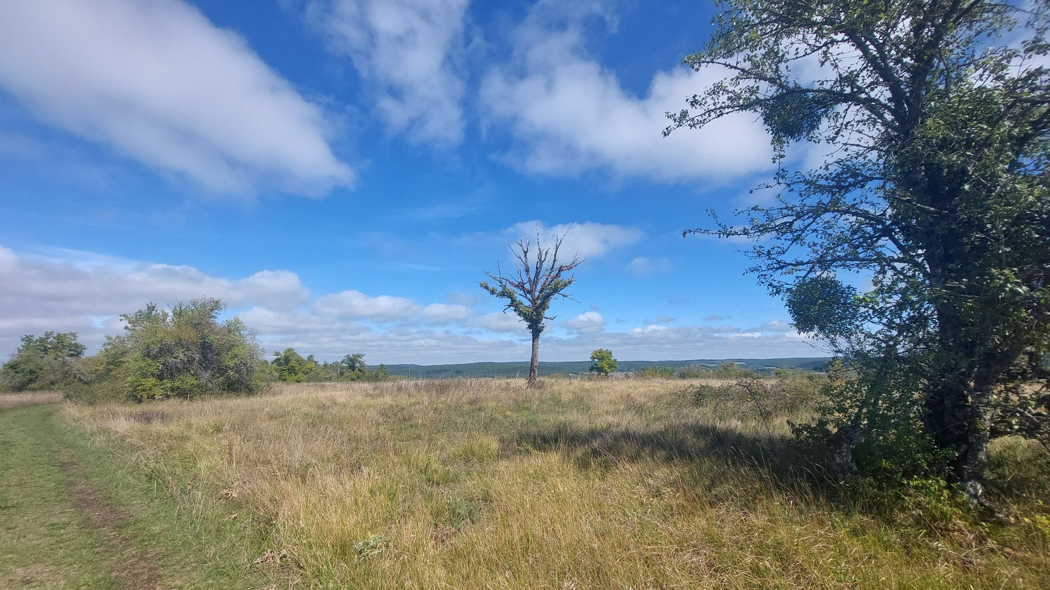 Plateau Mont Lassois