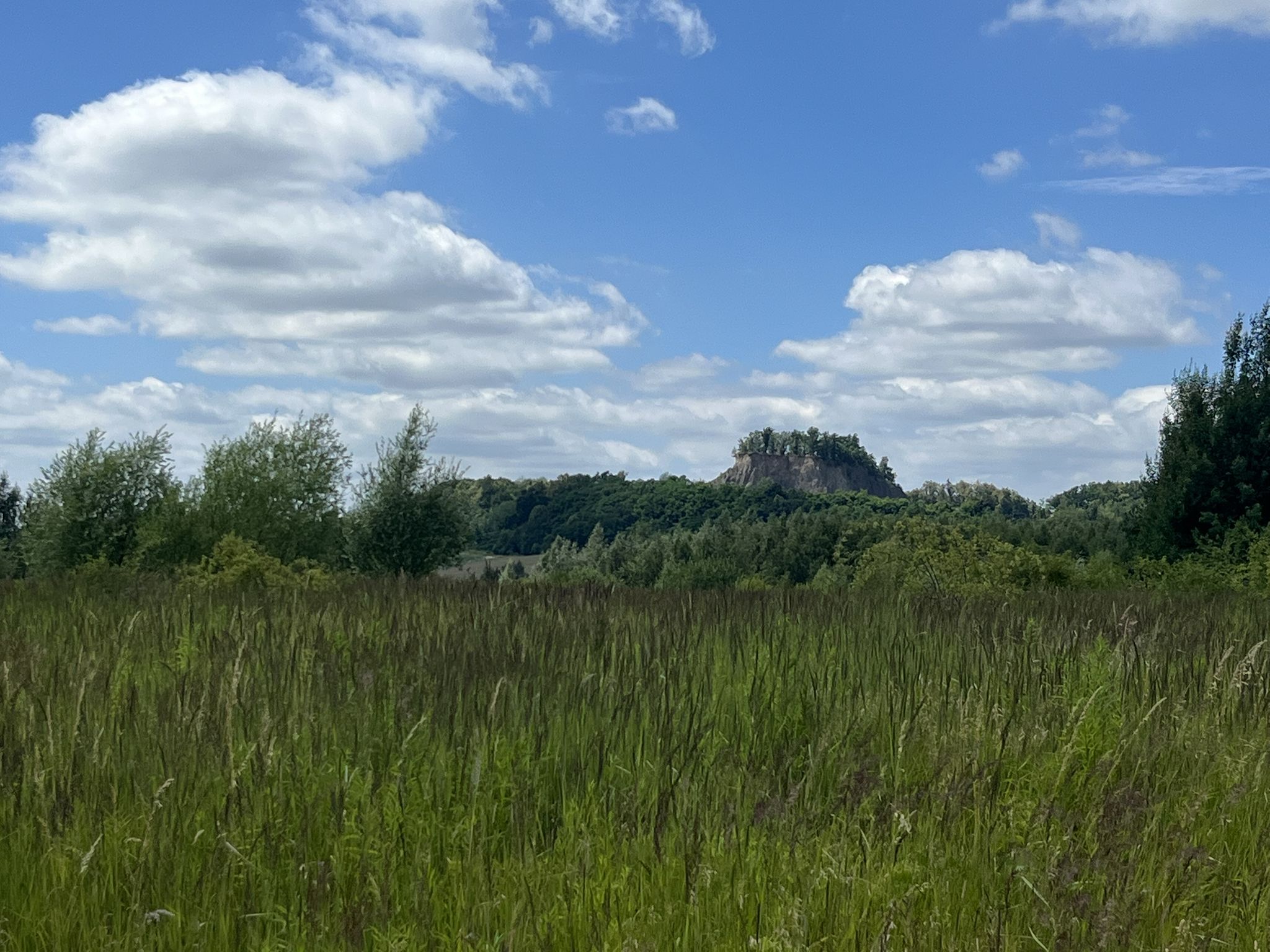 Wolfsberg (freigelegter Vulkanschlot)