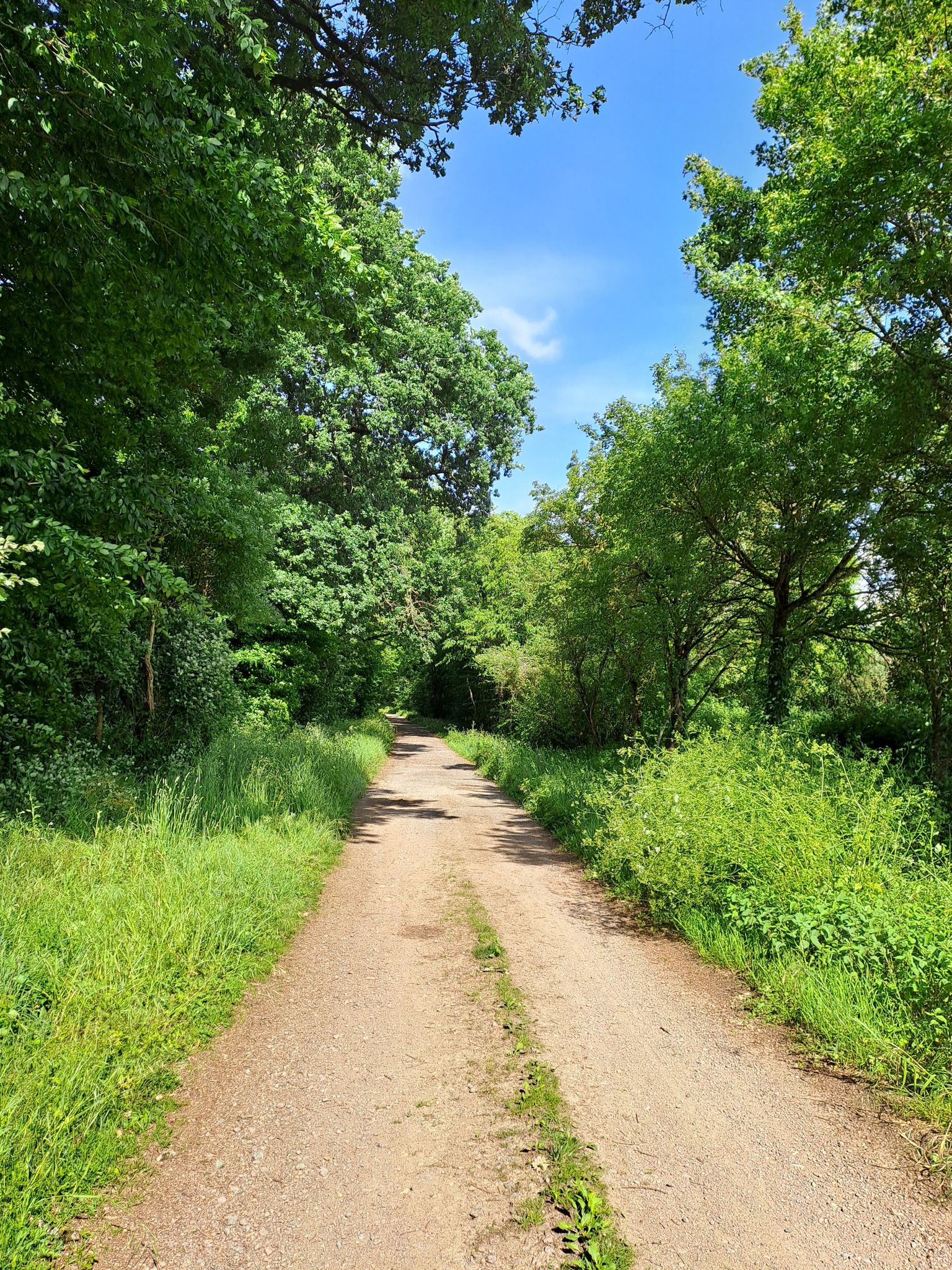 chemin de la diligence 