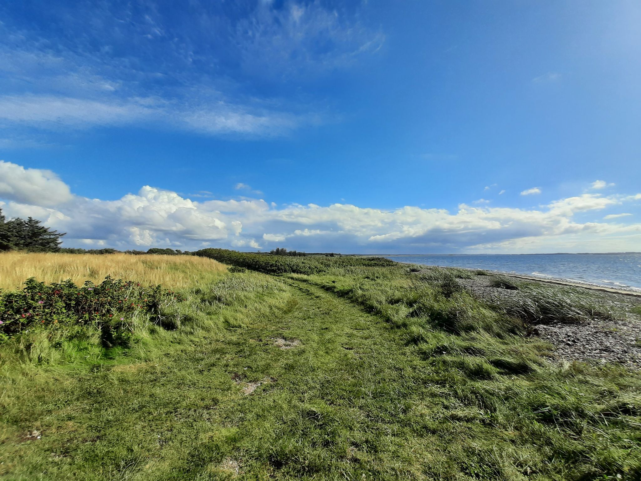 Limfjord