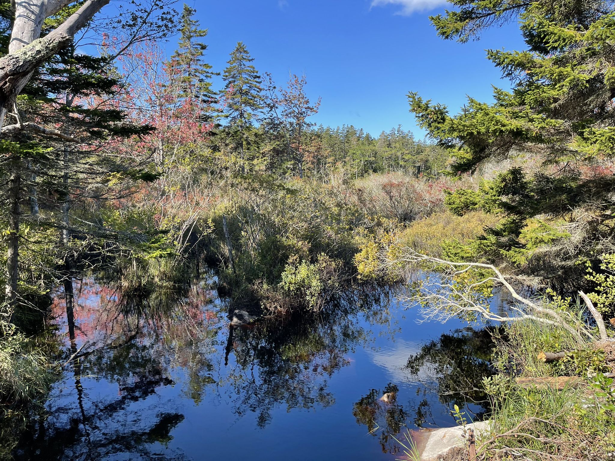 Calm forest pond reflecting blue sky and surrounding trees with colorful foliage. - Deckers Cove – School Pond loop from Southport