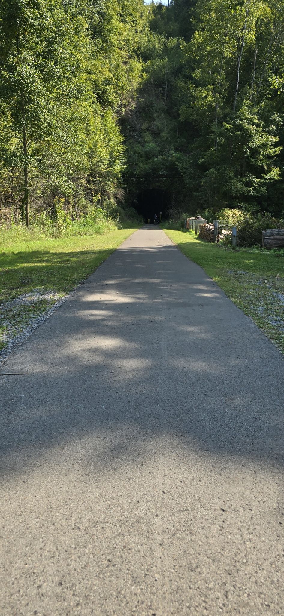 Sunny paved path leading to a dark tunnel entrance through dense woods. - Indian God Rock loop from Emlenton