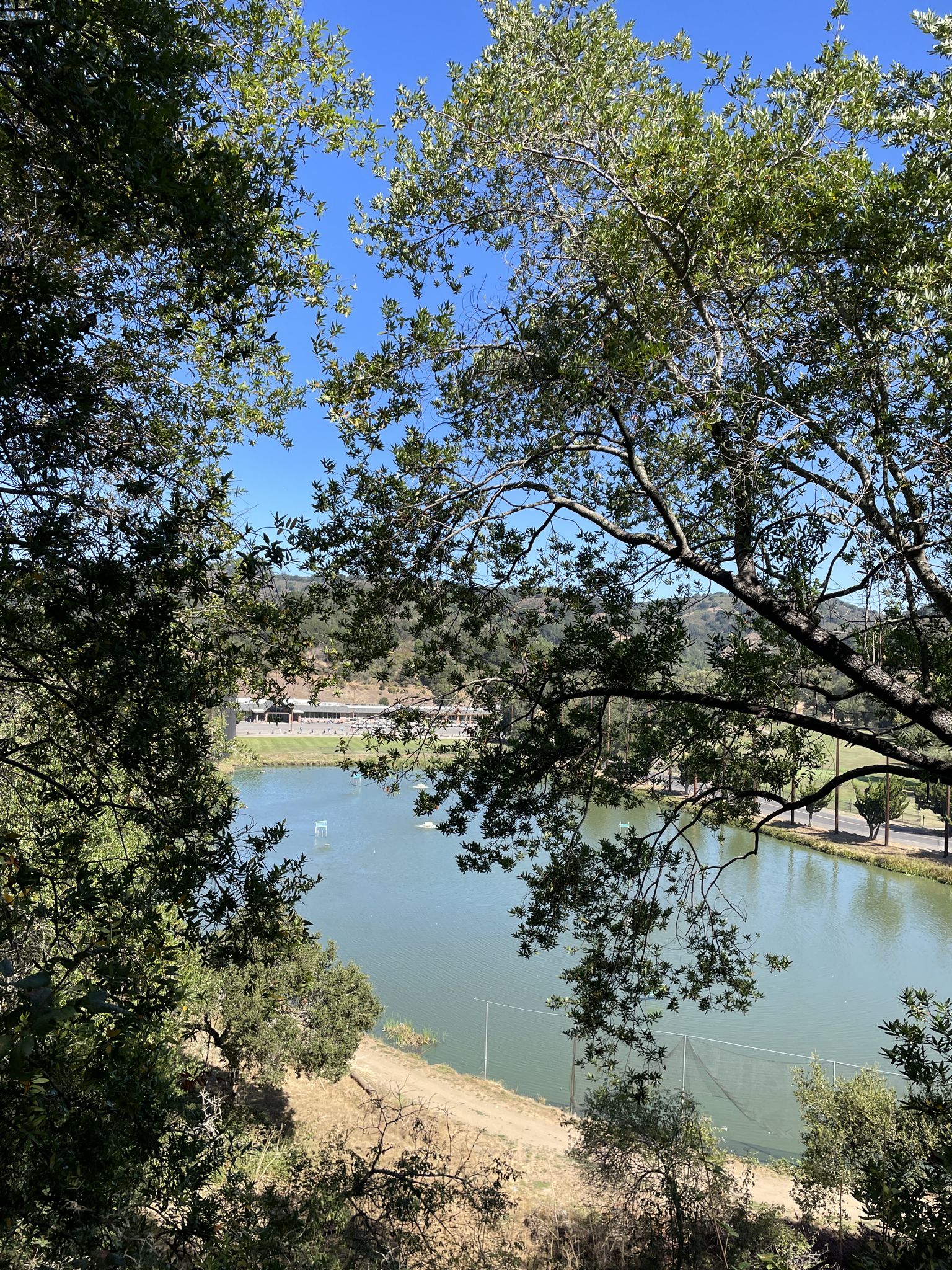 Green trees frame a calm lake under a bright blue sky. - Proctor and Ten Hills Loop