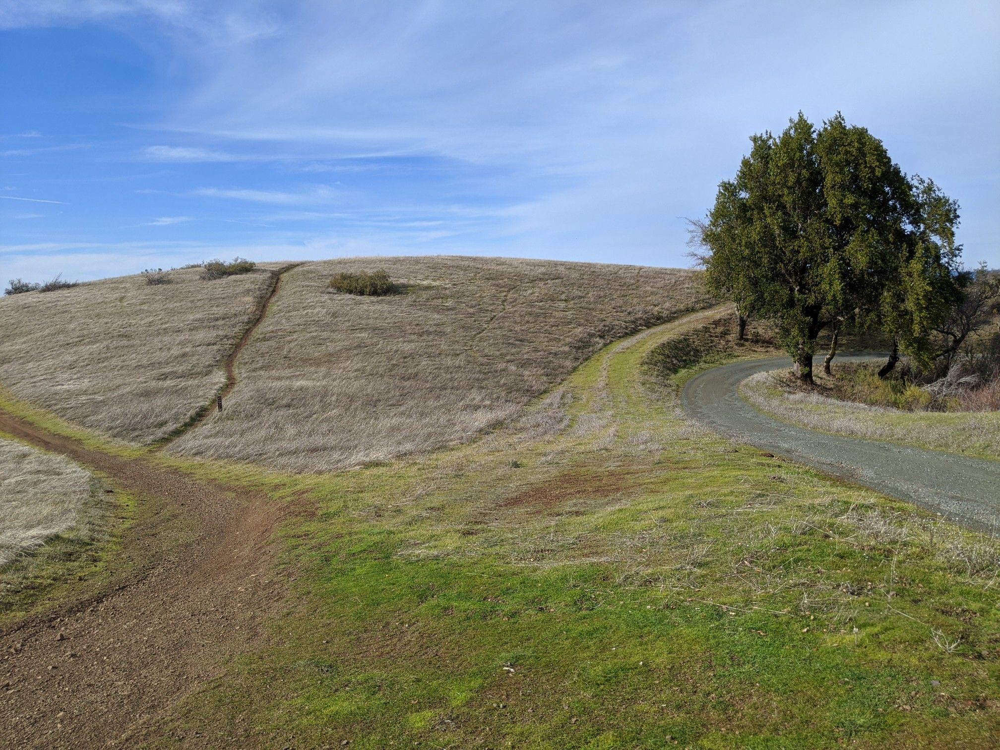 Dirt paths fork on a green and brown hillside under a partly cloudy sky. - Black Mountain via Sag Pond loop